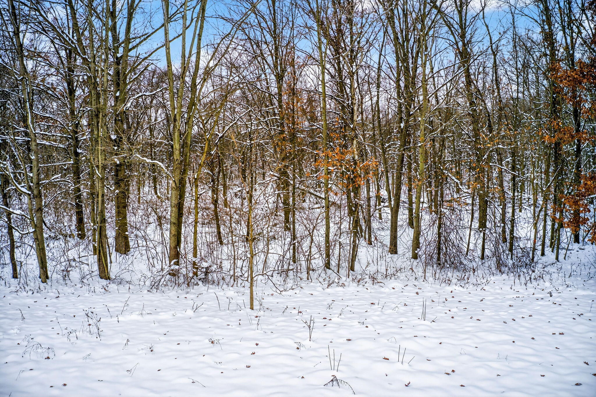 Lot 1,2,3 Garver Lake Road Edwardsburg MI 49112