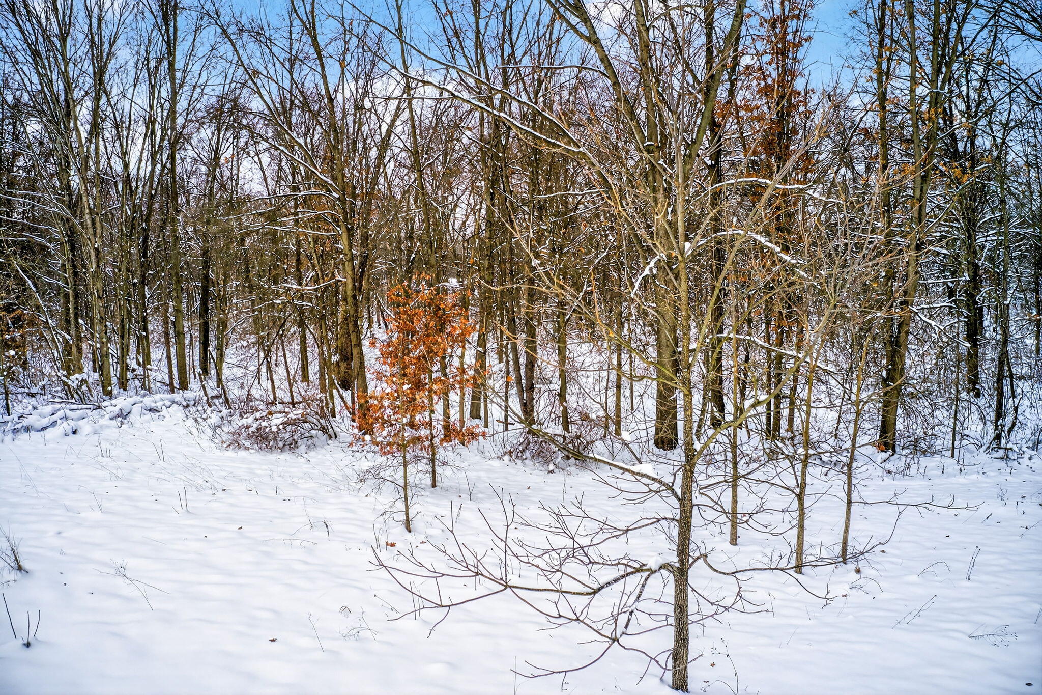 Lot 1,2,3 Garver Lake Road Edwardsburg MI 49112