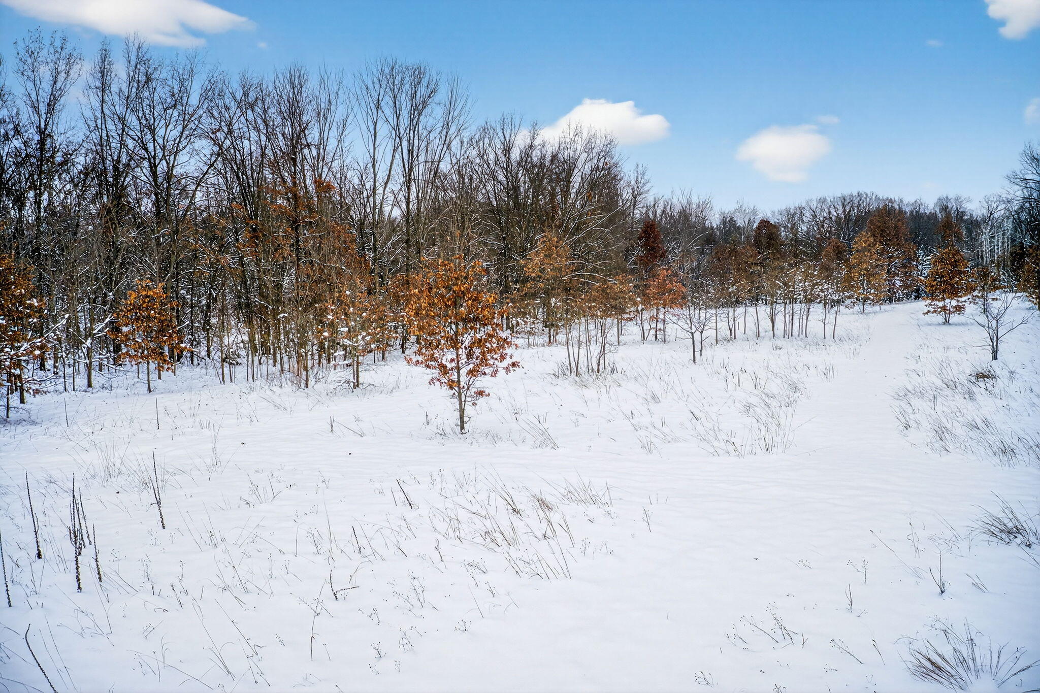 Lot 1,2,3 Garver Lake Road Edwardsburg MI 49112