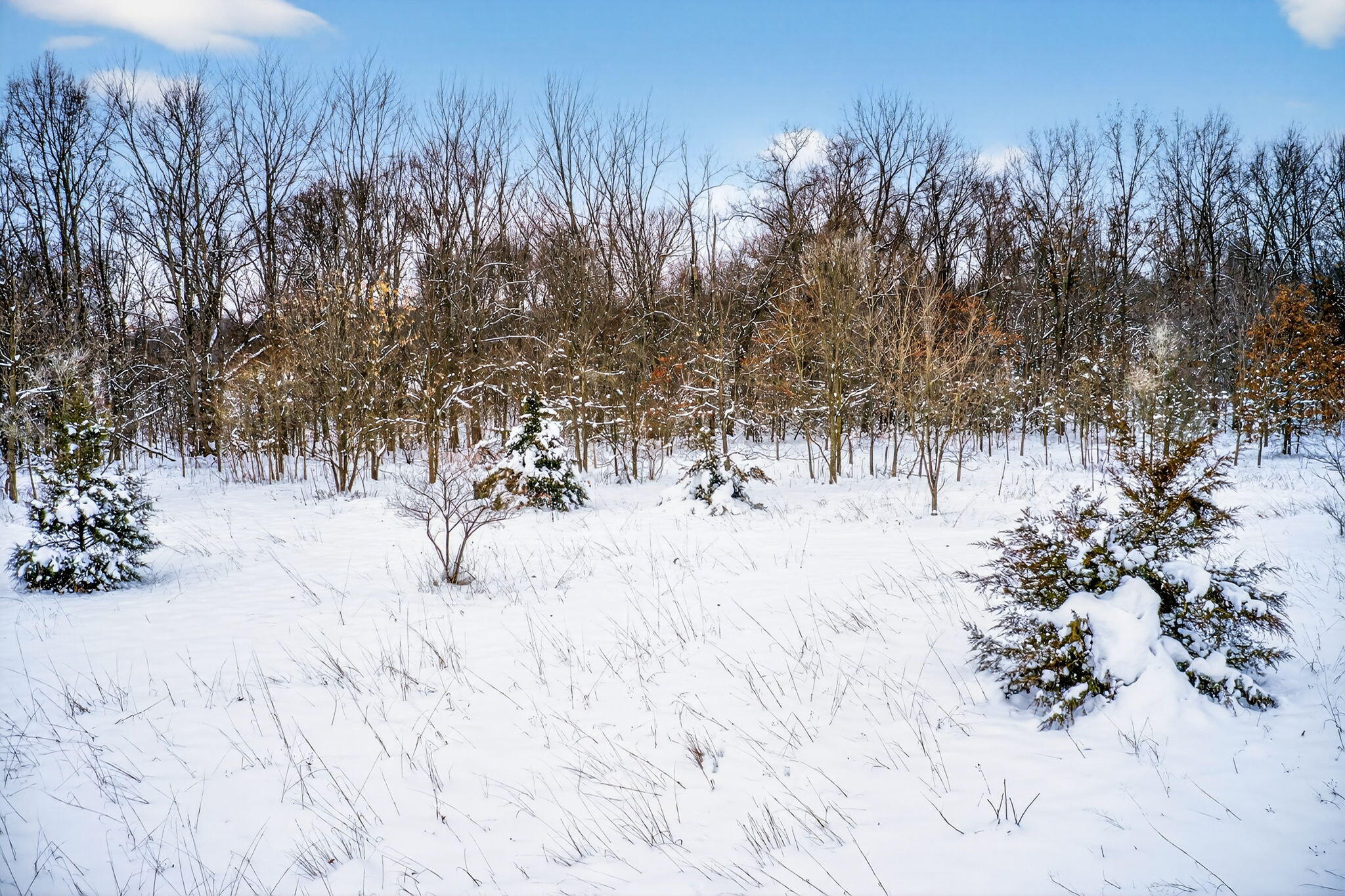 Lot 1,2,3 Garver Lake Road Edwardsburg MI 49112