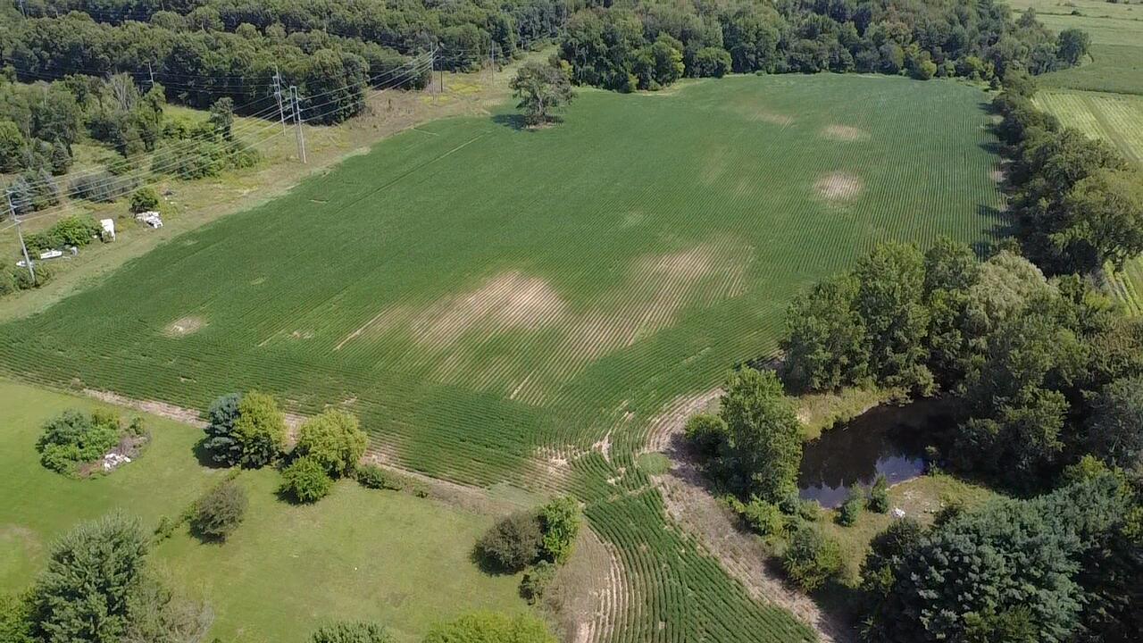 88375 Cr-668 Decatur MI 49045
