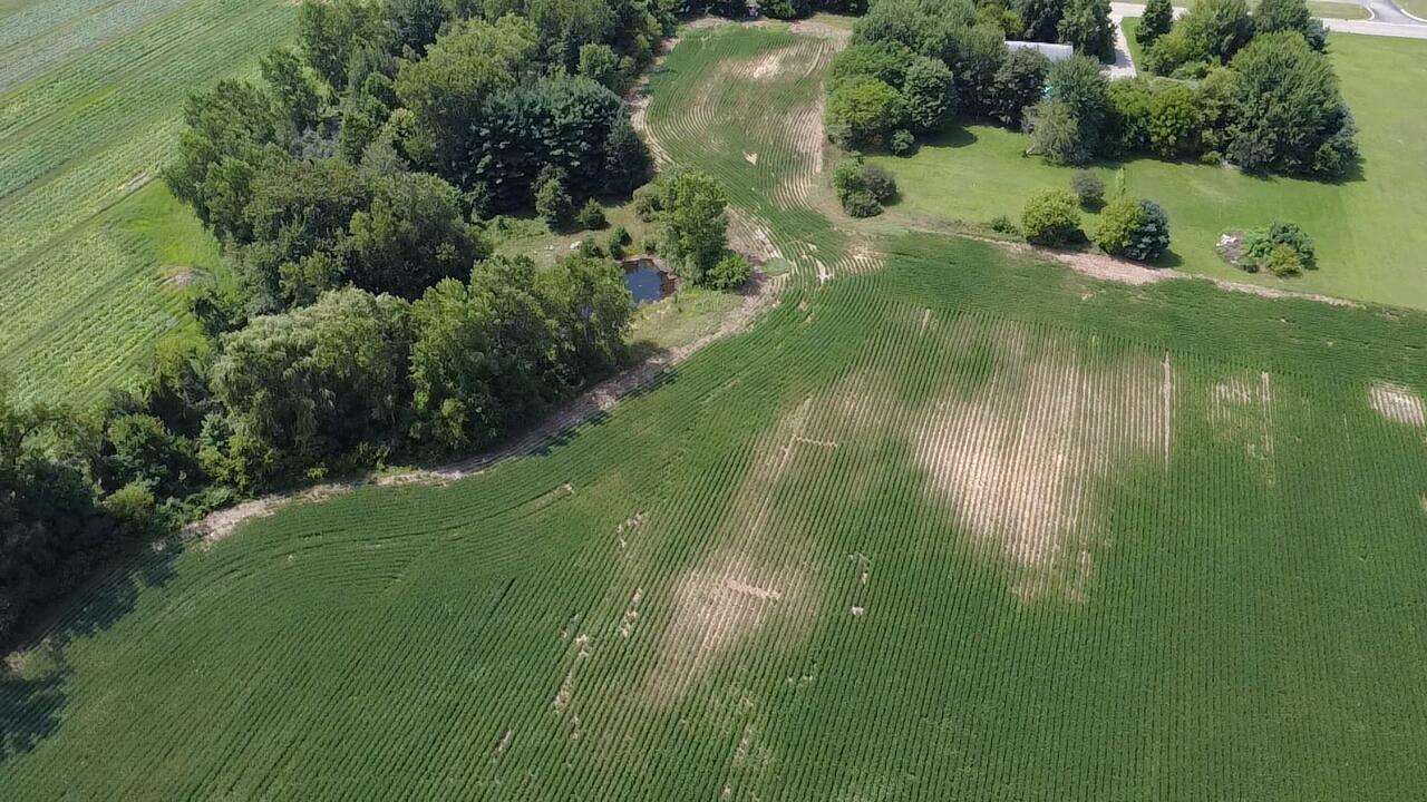 88375 Cr-668 Decatur MI 49045