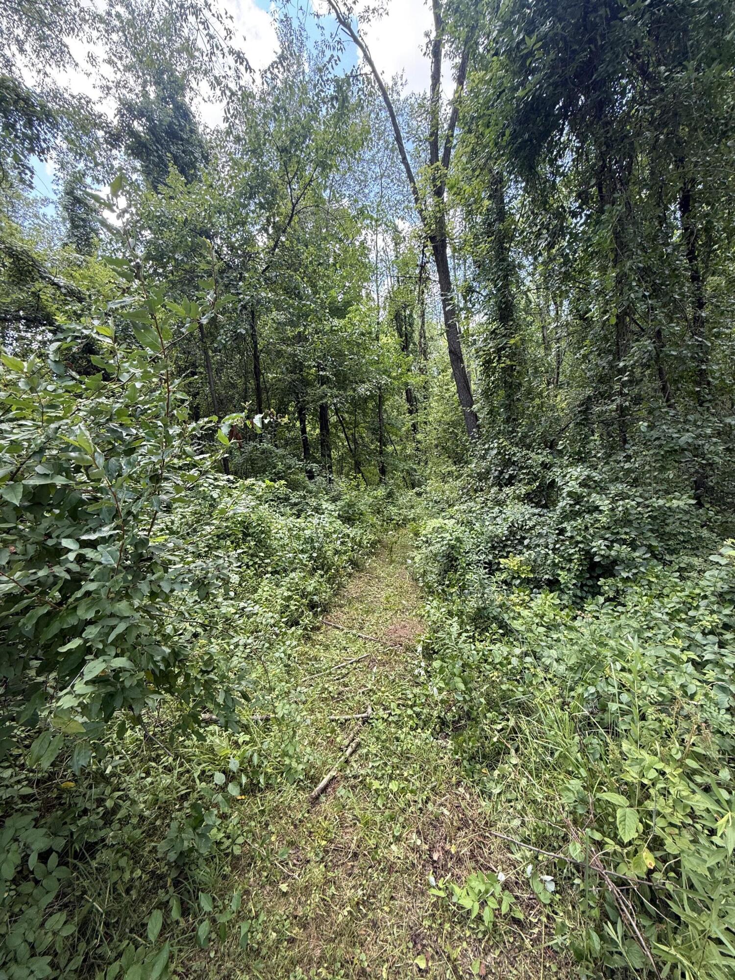 63518 Day Lake Road Cassopolis MI 49031