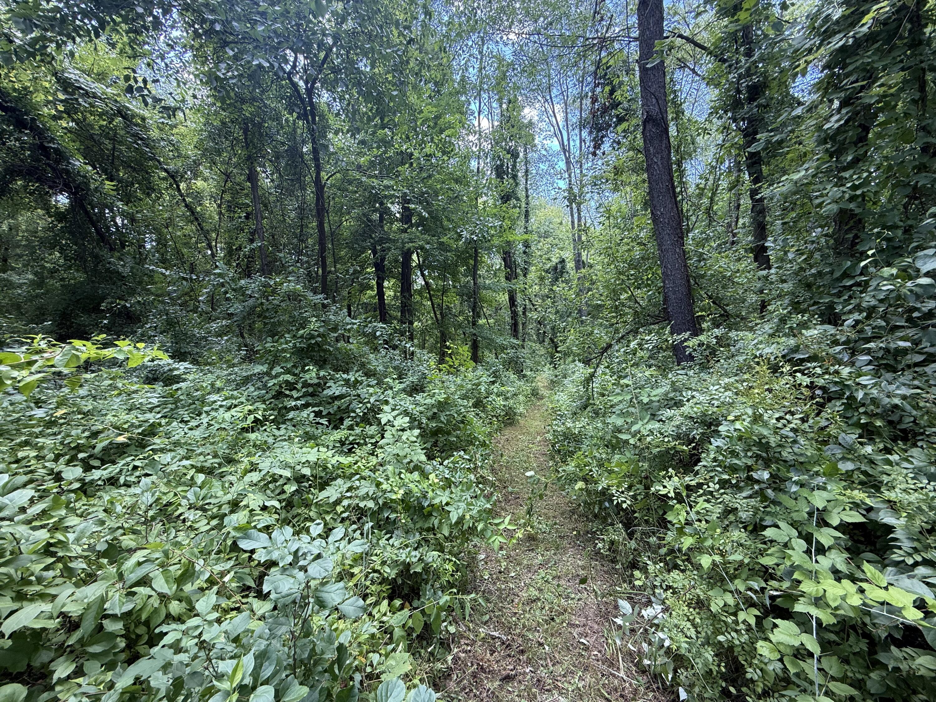 63518 Day Lake Road Cassopolis MI 49031