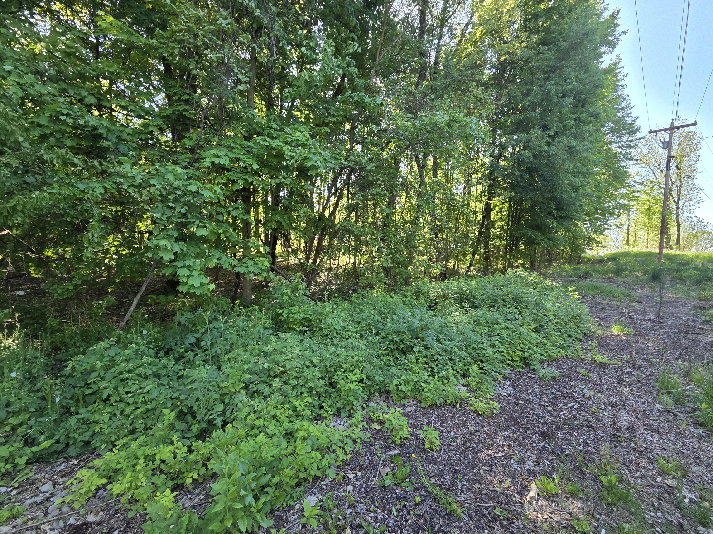 Vl Lindburg Drive Dowagiac MI 49047
