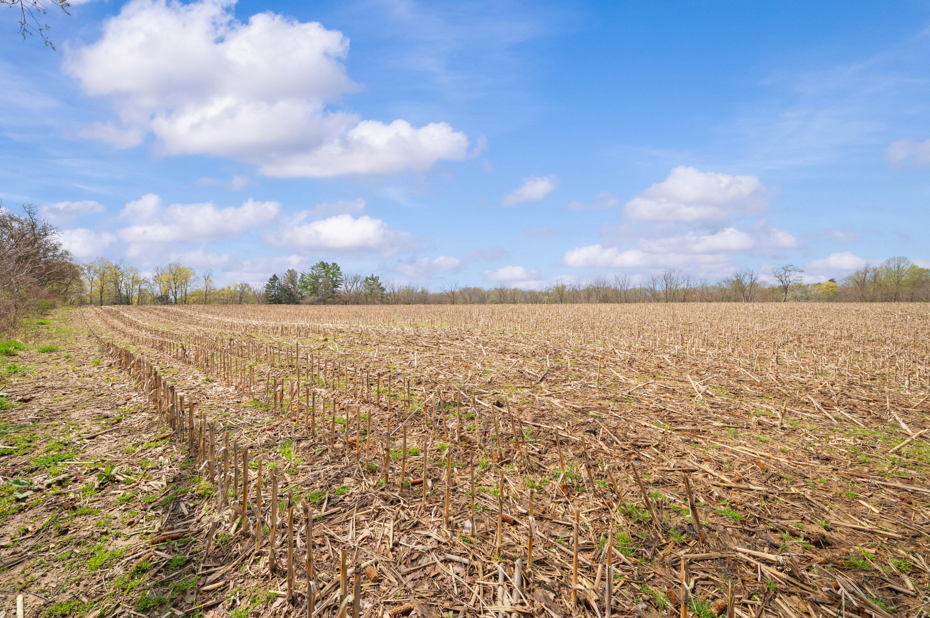 Lot C Broceus School Road Buchanan MI 49107