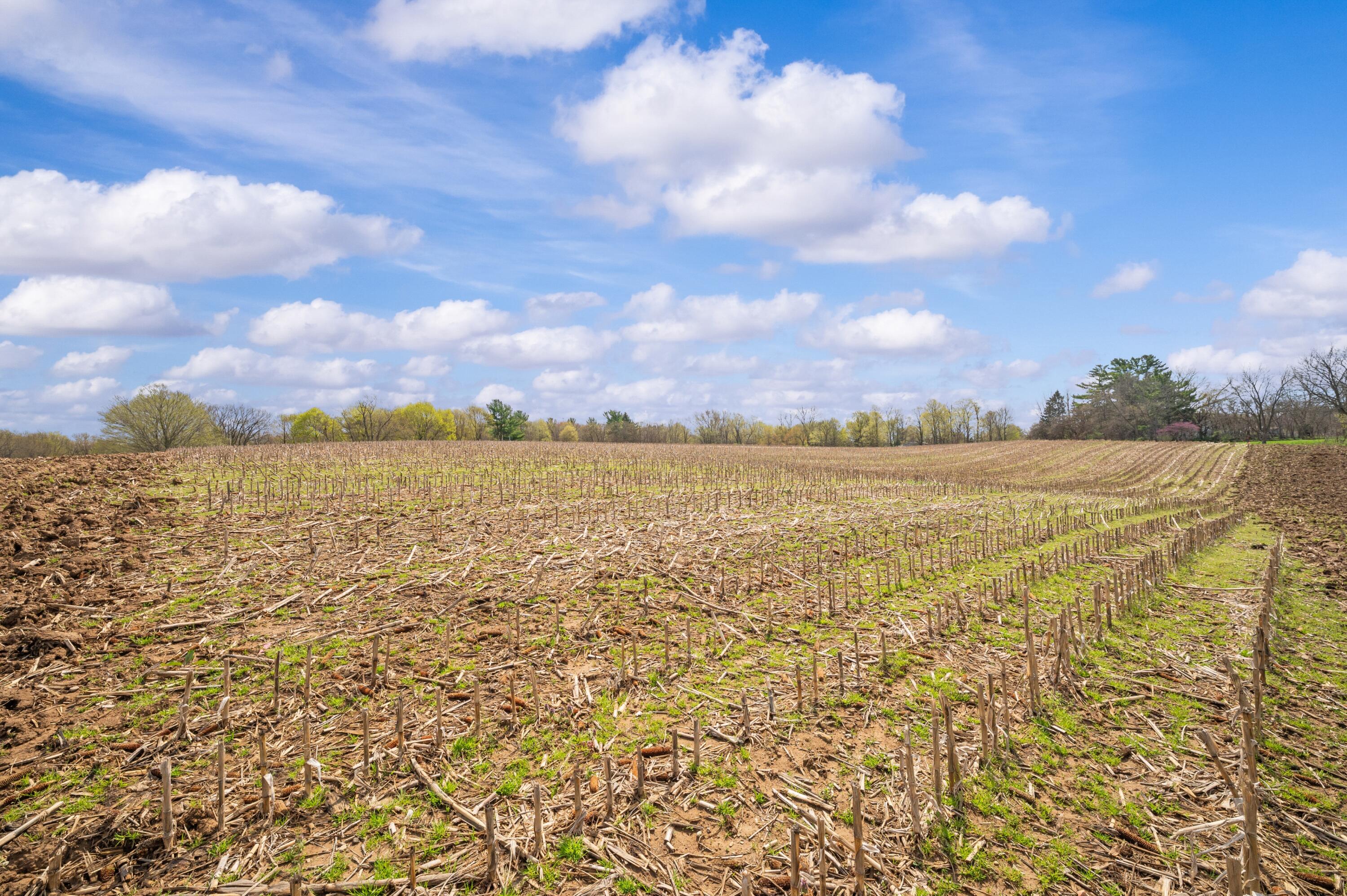 Lot C Broceus School Road Buchanan MI 49107