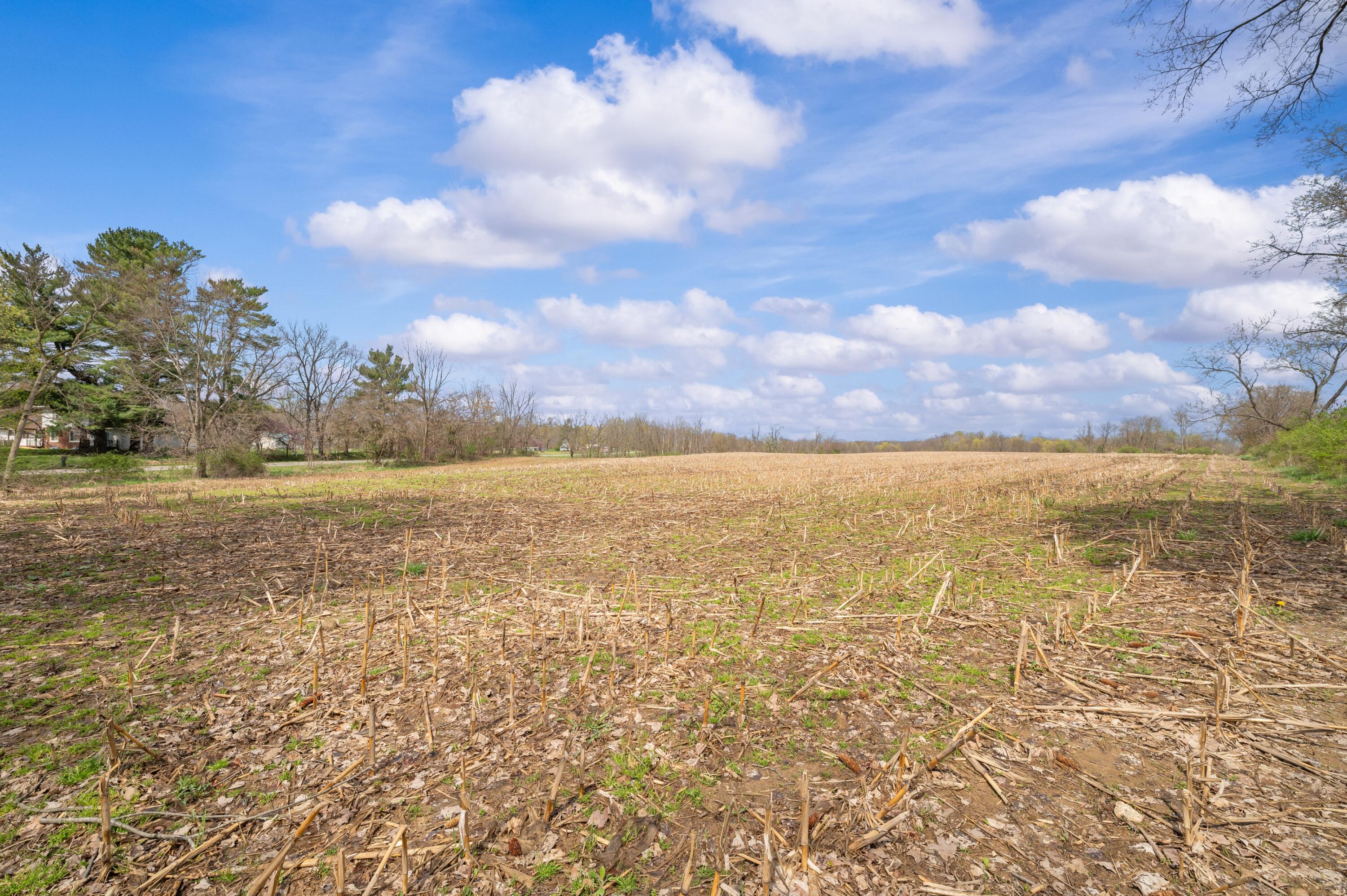 Lot C Broceus School Road Buchanan MI 49107