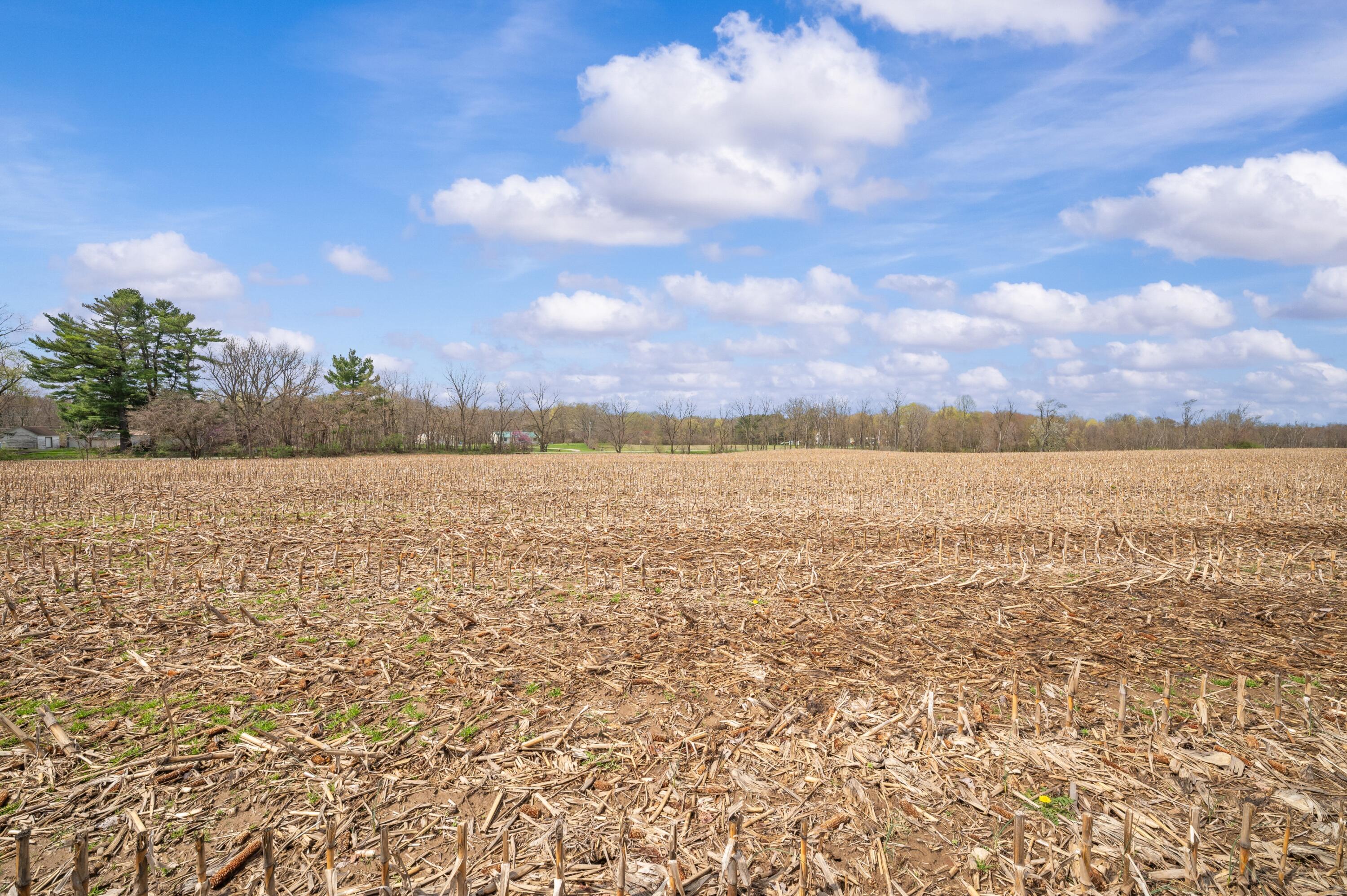 Lot C Broceus School Road Buchanan MI 49107