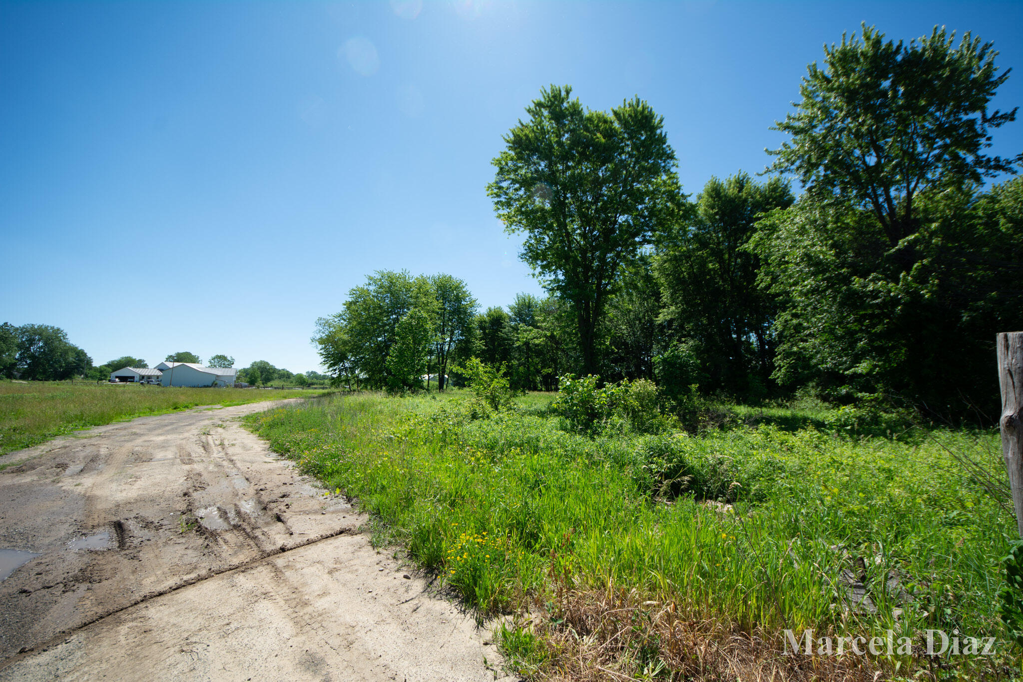 V/l 146th Avenue SW Byron Center MI 49315