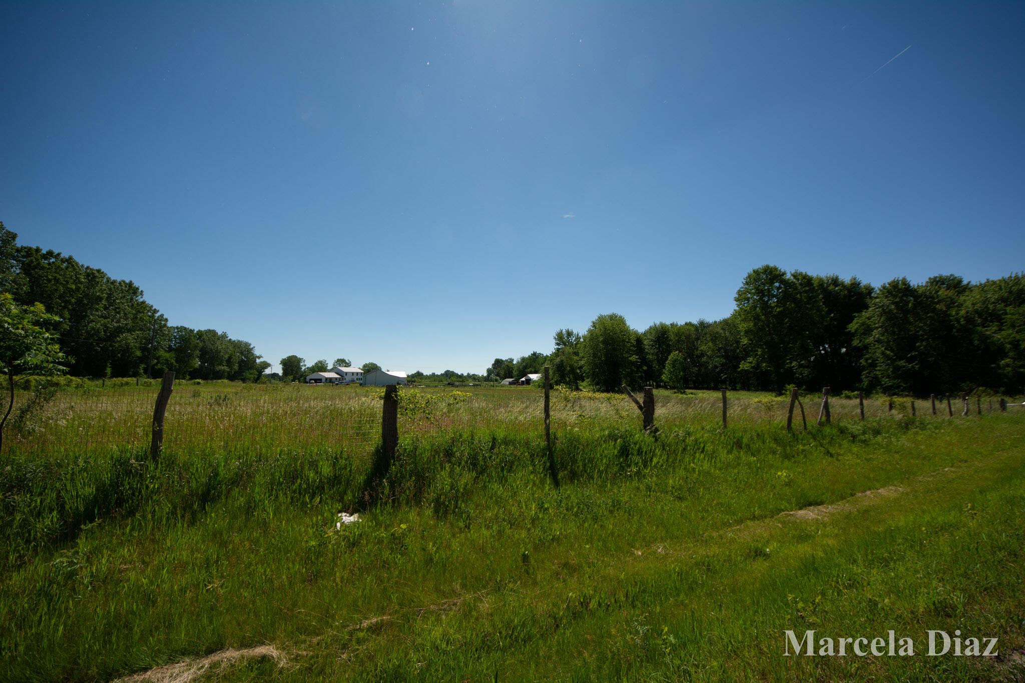 V/l 146th Avenue SW Byron Center MI 49315