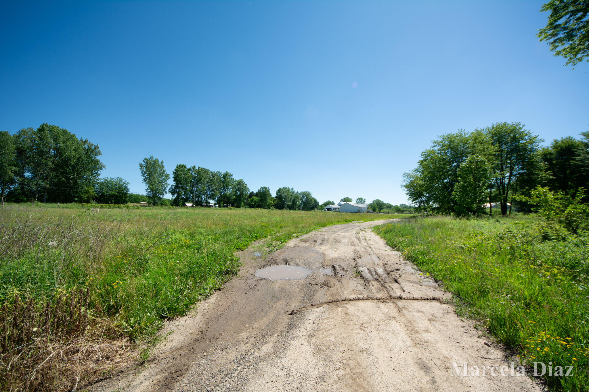 V/l 146th Avenue SW Byron Center MI 49315