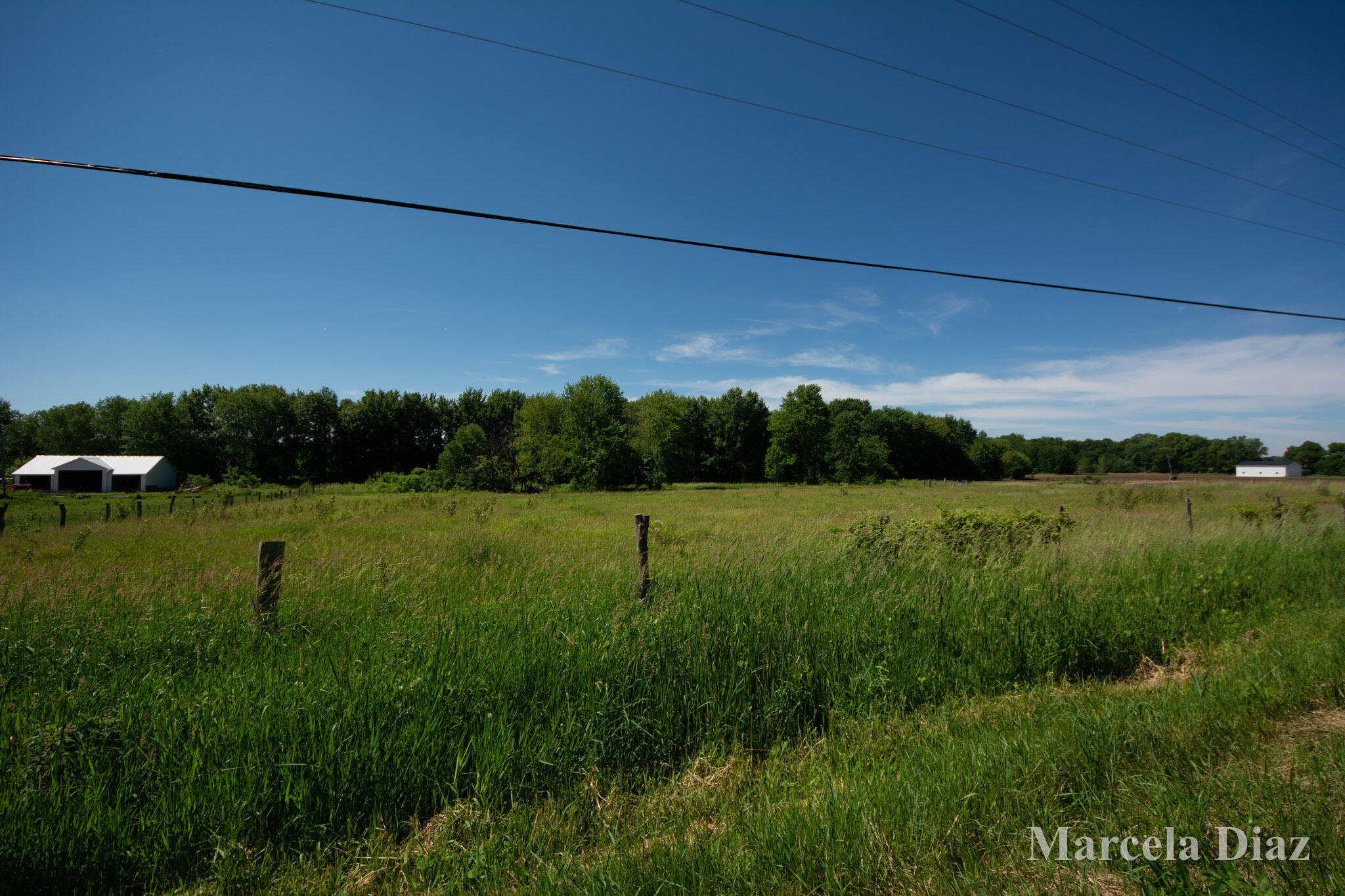 V/l 146th Avenue SW Byron Center MI 49315