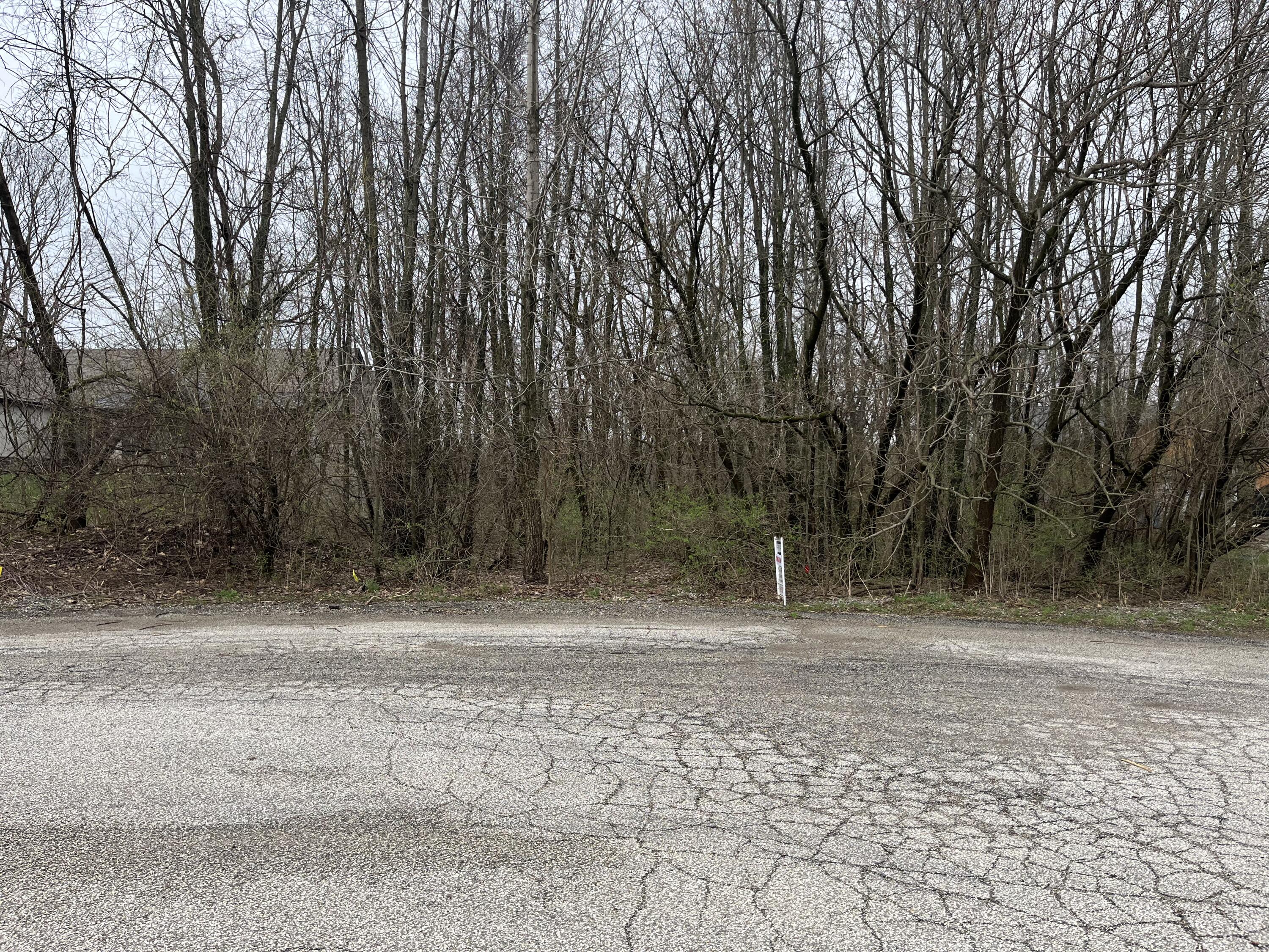 14 Forest Shores Drive Cassopolis MI 49031