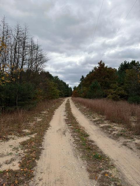 1254 E Ellis Road Norton Shores MI 49441