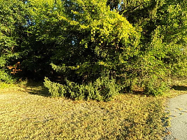 000 Red Arrow Highway Stevensville MI 49127
