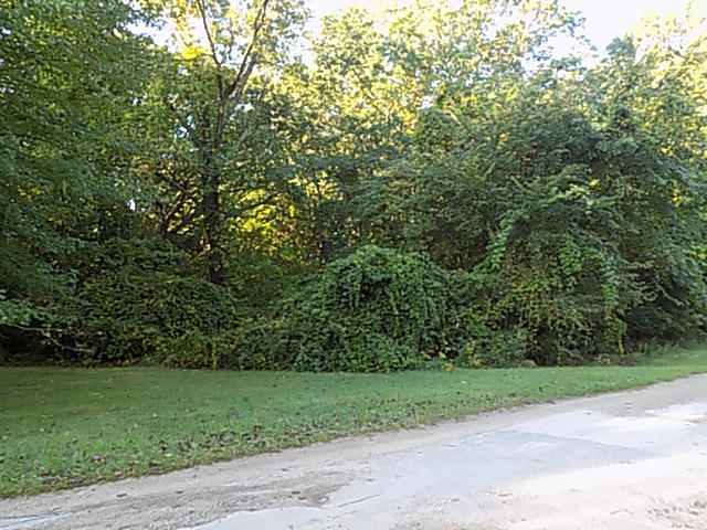 000 Red Arrow Highway Stevensville MI 49127