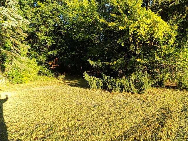 000 Red Arrow Highway Stevensville MI 49127