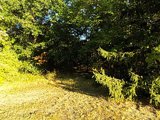 000 Red Arrow Highway Stevensville MI 49127