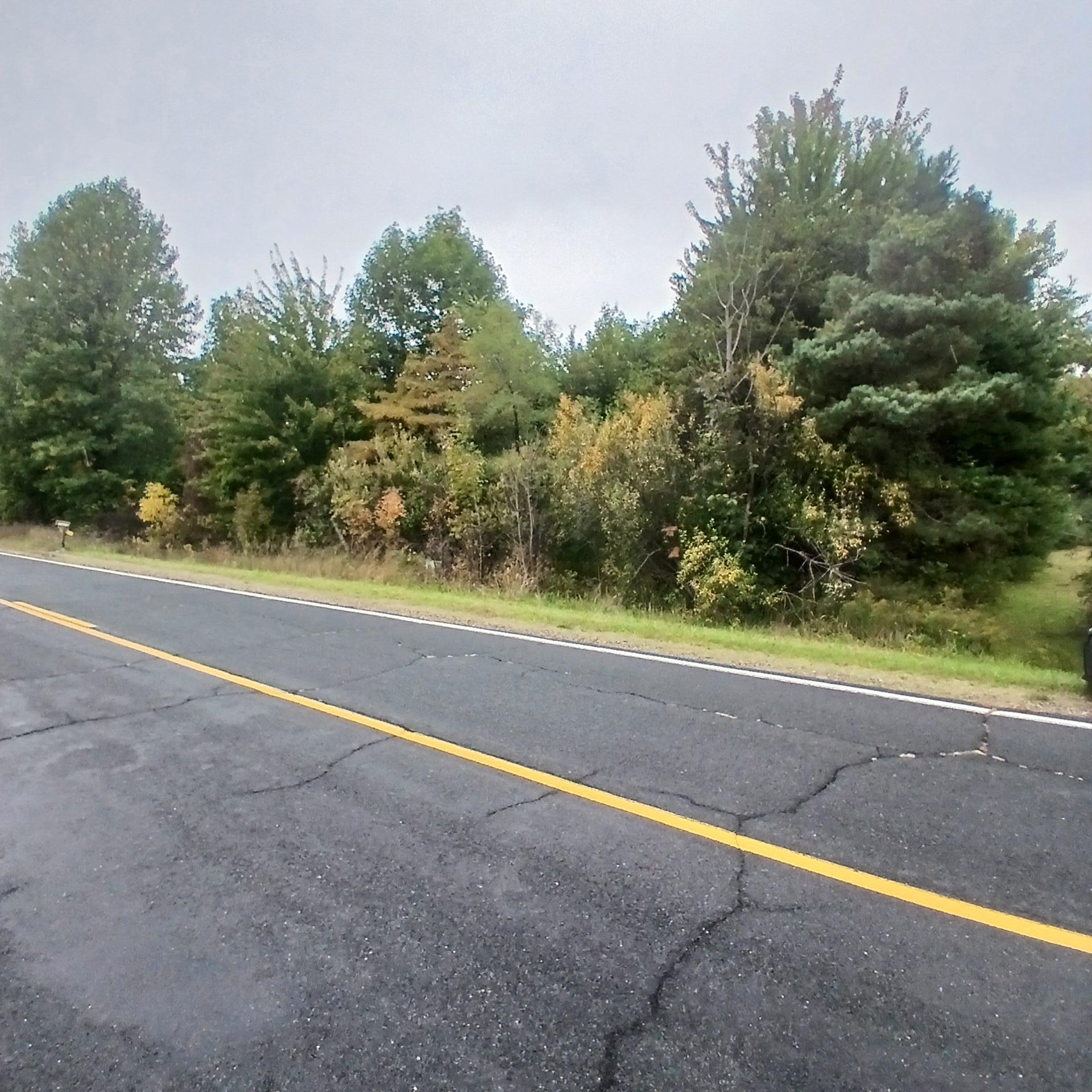 County Road 378 Covert MI 49043