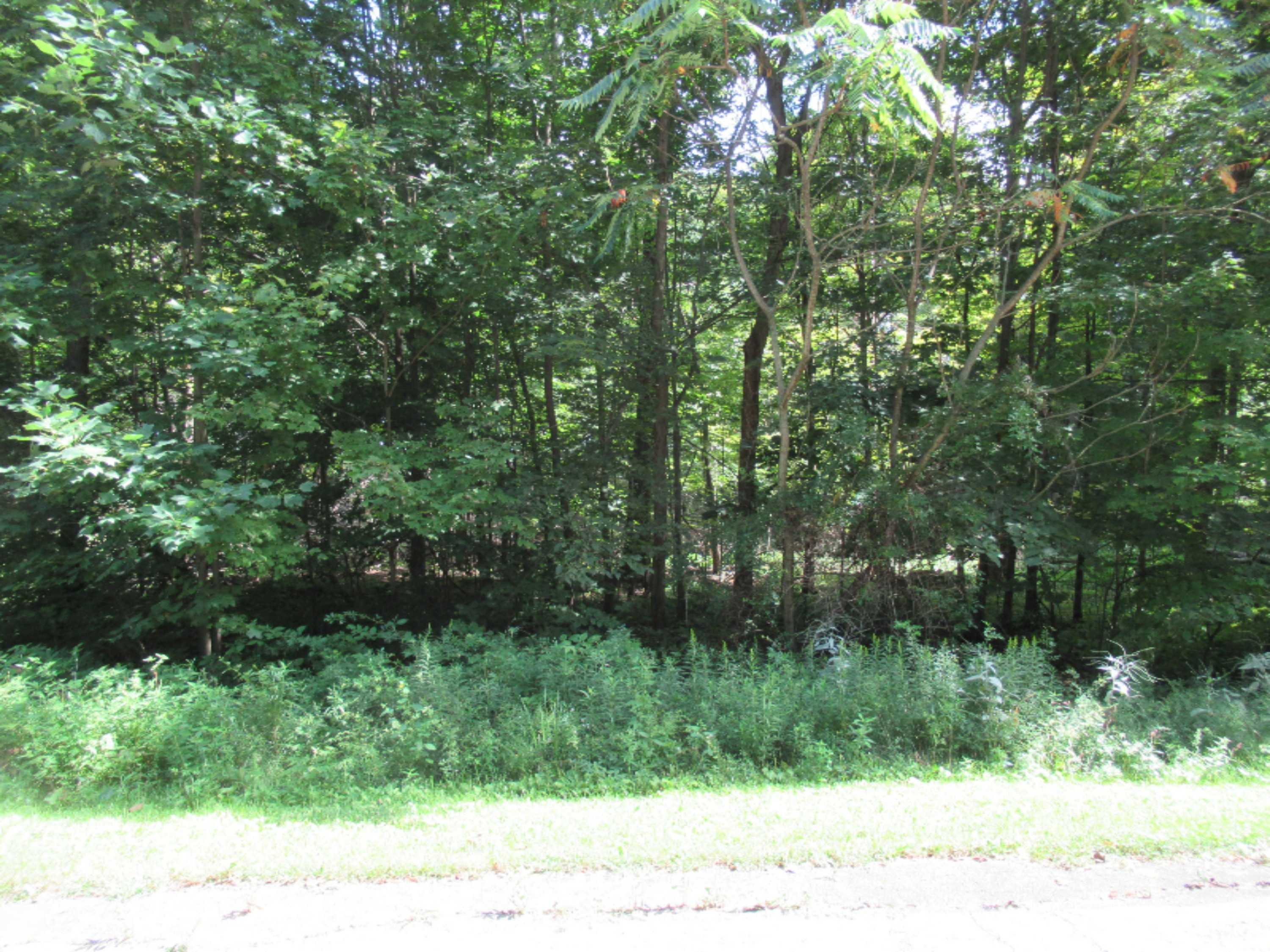 Tract 6 Brookside Court Cassopolis MI 49031