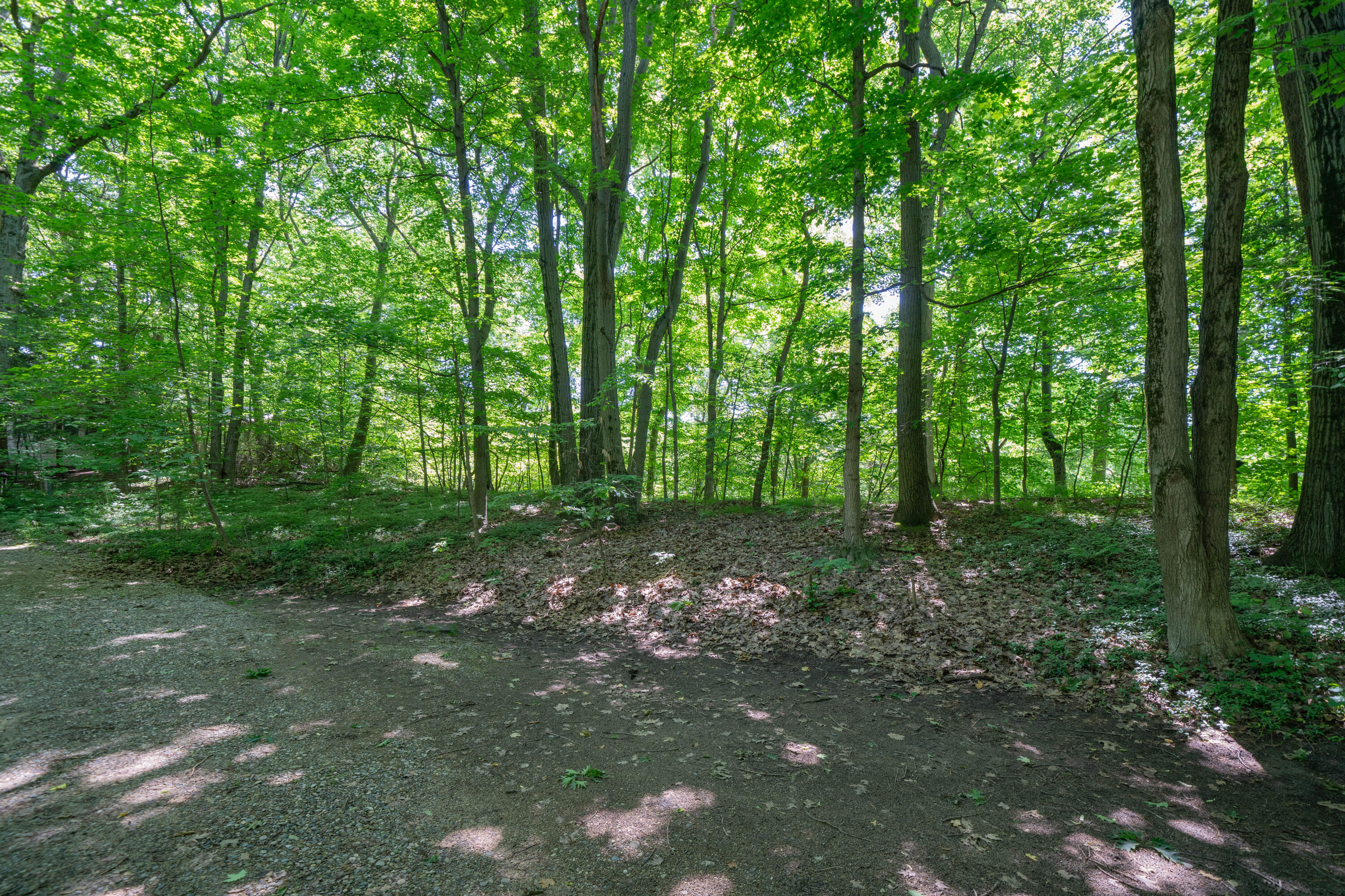 Vl Ramblewood Circle Covert MI 49043