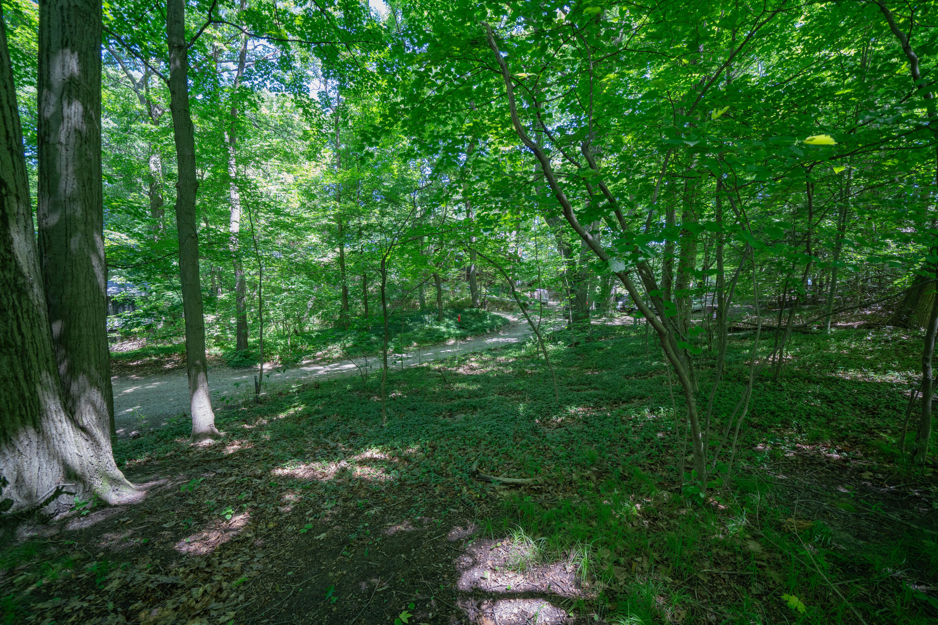 Vl Ramblewood Circle Covert MI 49043