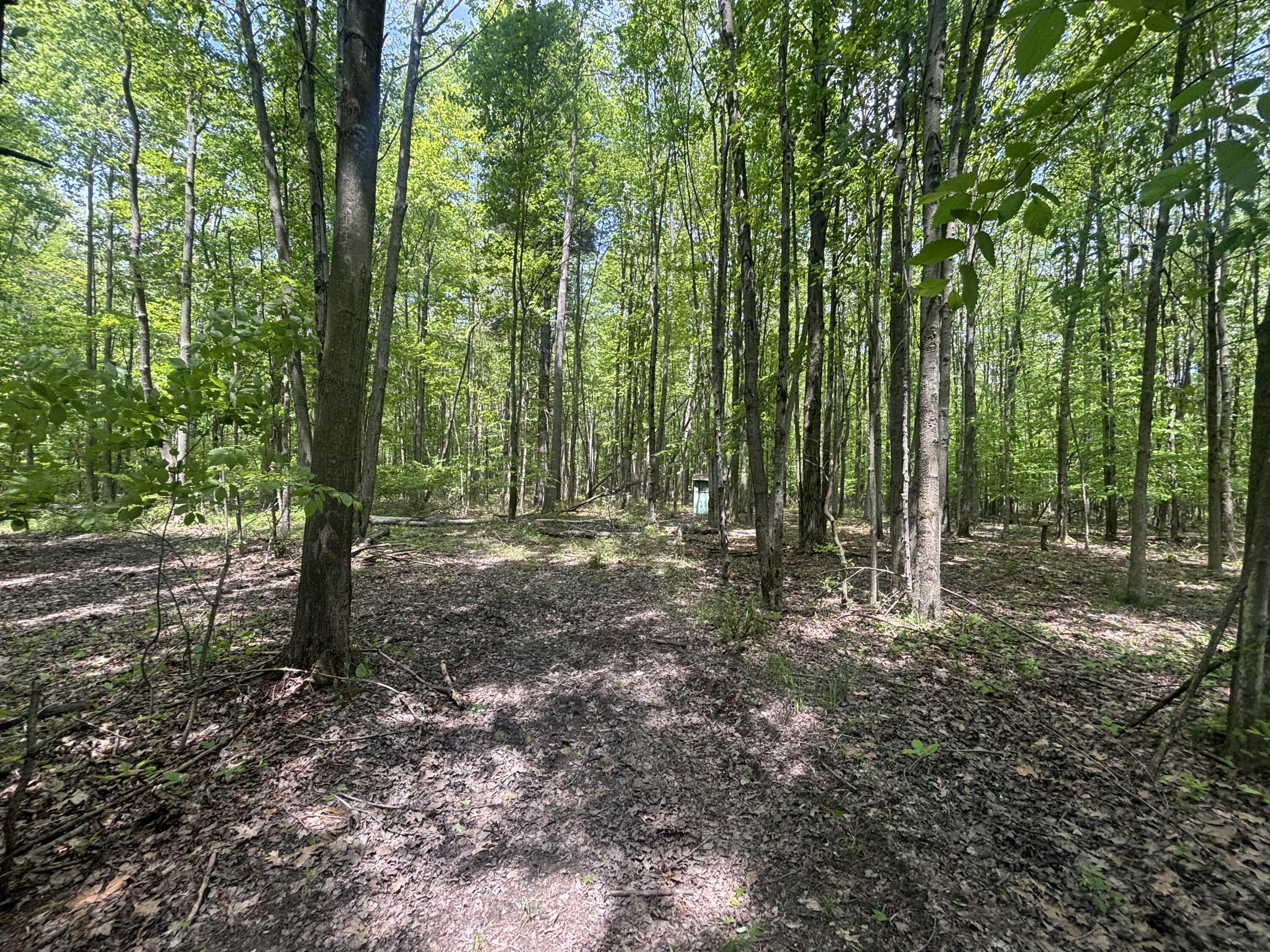V/l 43.5a 104th Avenue Allegan MI 49010