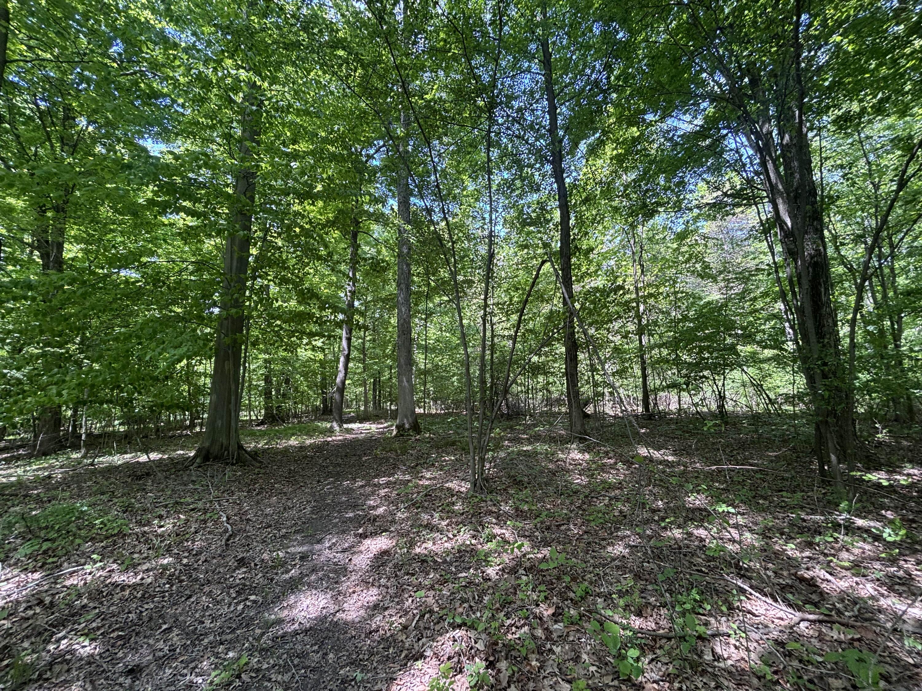 V/l 43.5a 104th Avenue Allegan MI 49010