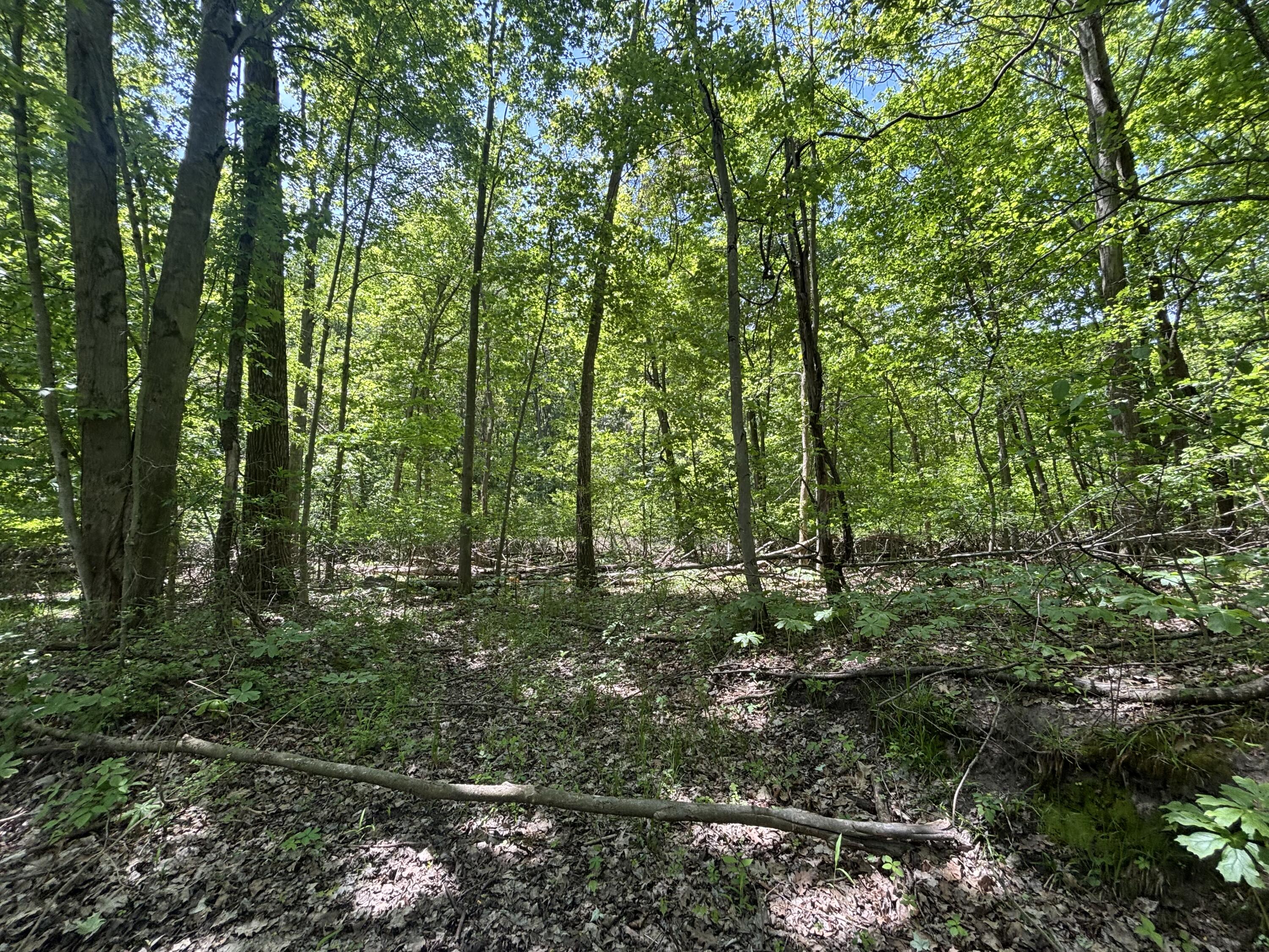 V/l 43.5a 104th Avenue Allegan MI 49010