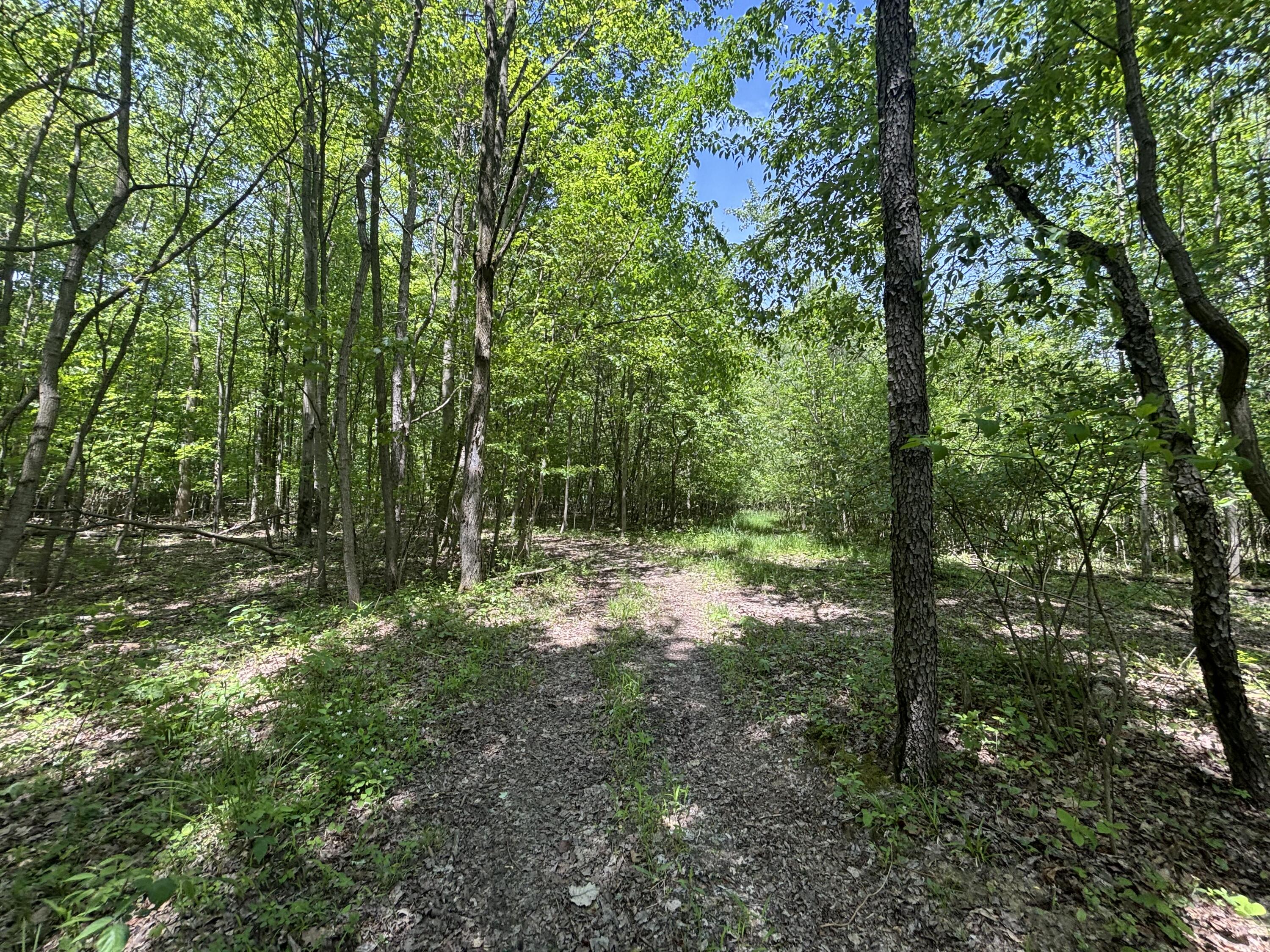 V/l 43.5a 104th Avenue Allegan MI 49010