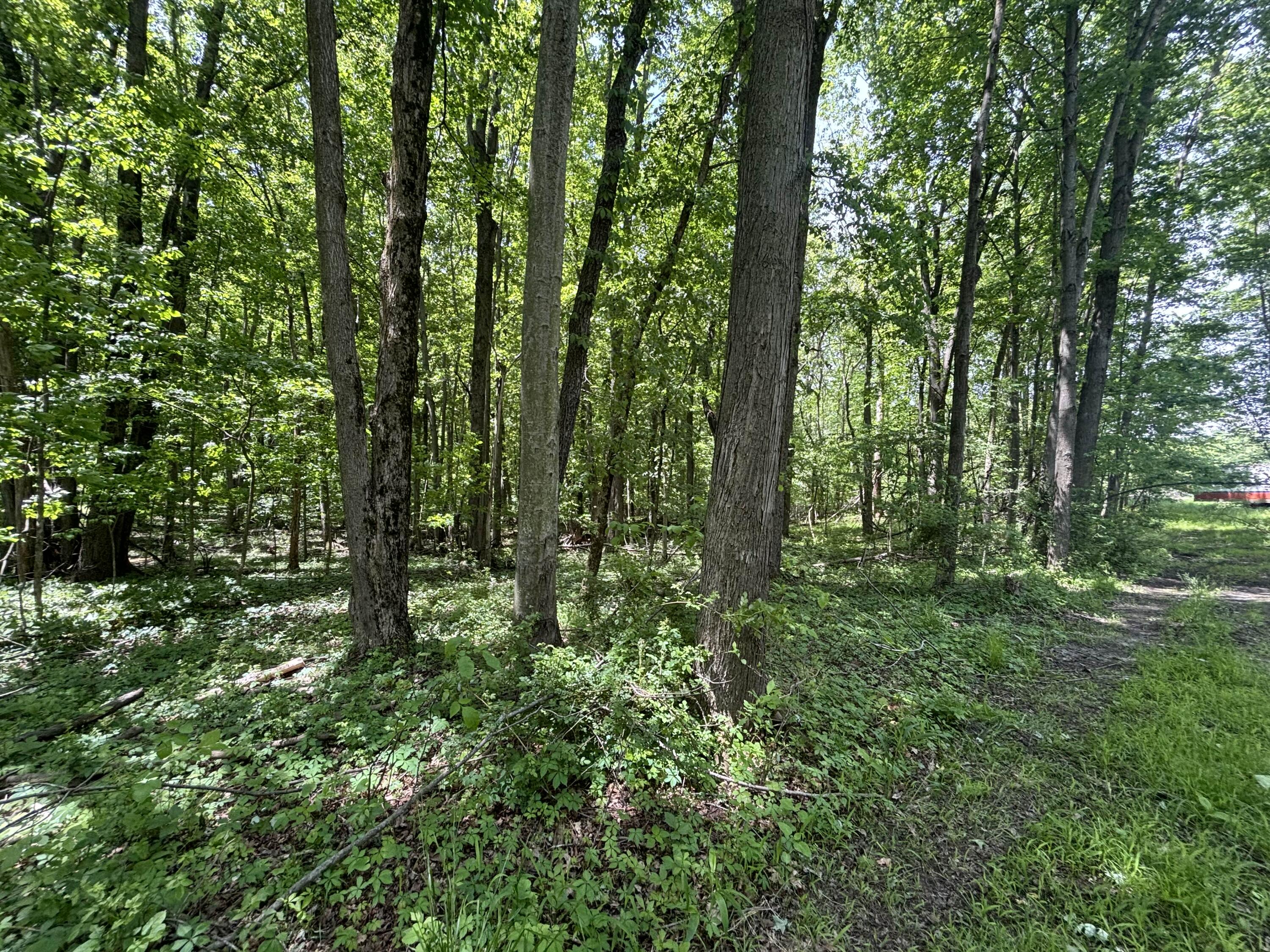 V/l 43.5a 104th Avenue Allegan MI 49010