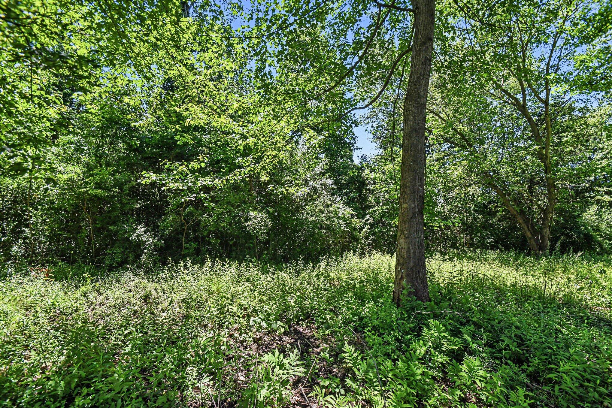 41 Lincoln Avenue South Haven MI 49090