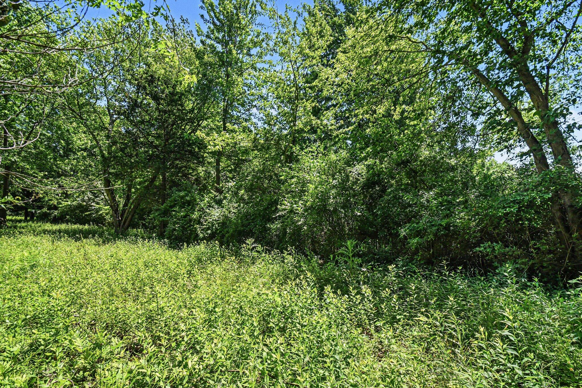 41 Lincoln Avenue South Haven MI 49090