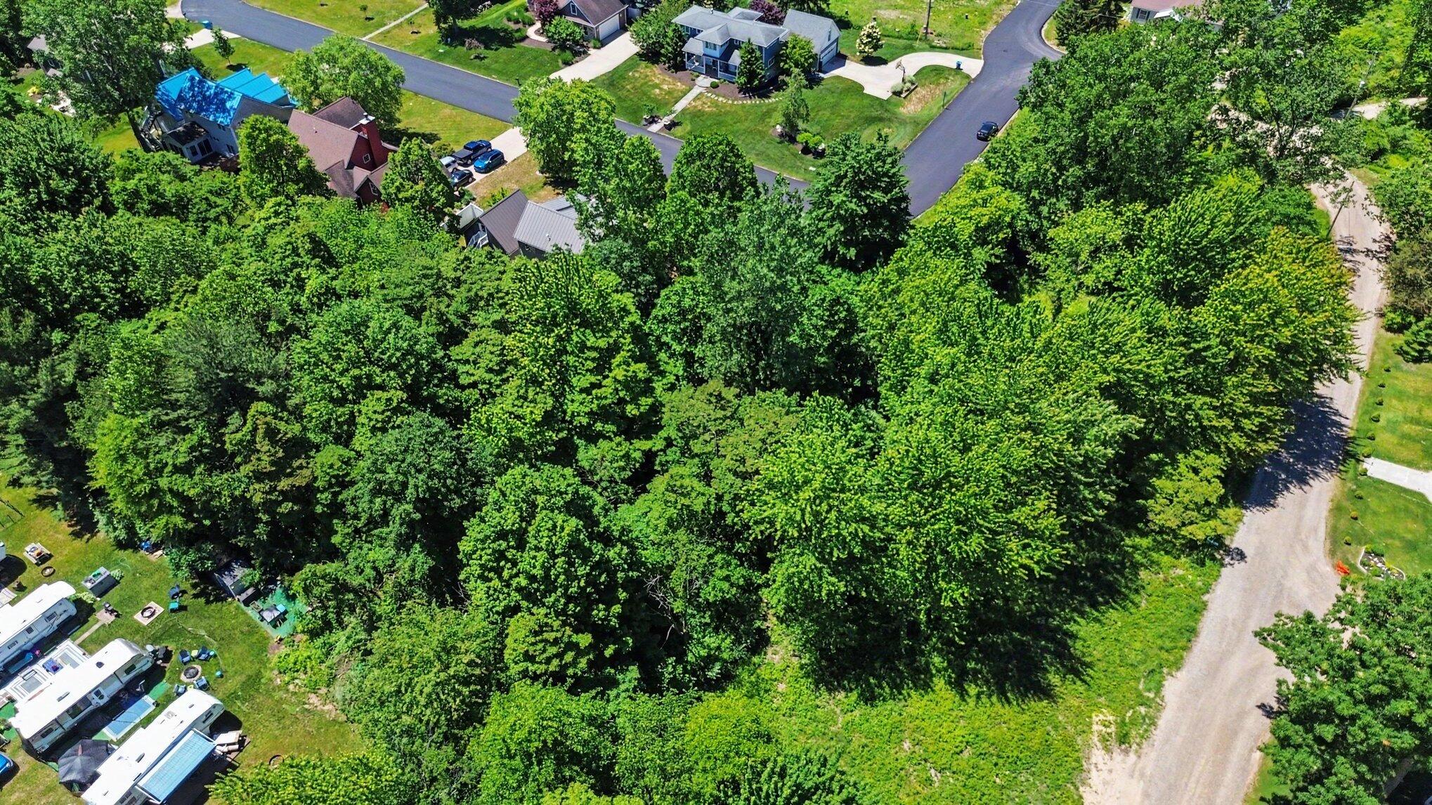 41 Lincoln Avenue South Haven MI 49090