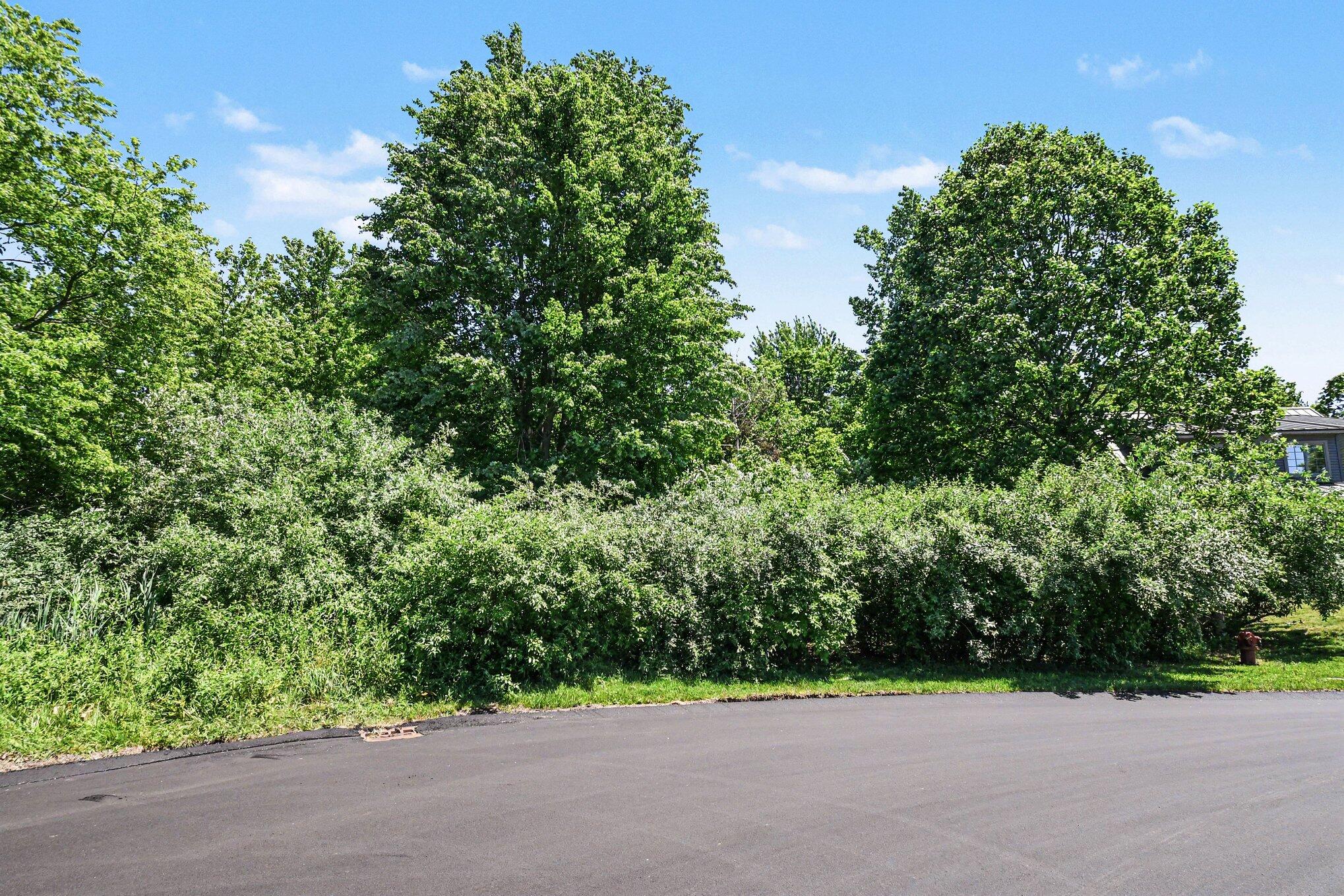 41 Lincoln Avenue South Haven MI 49090