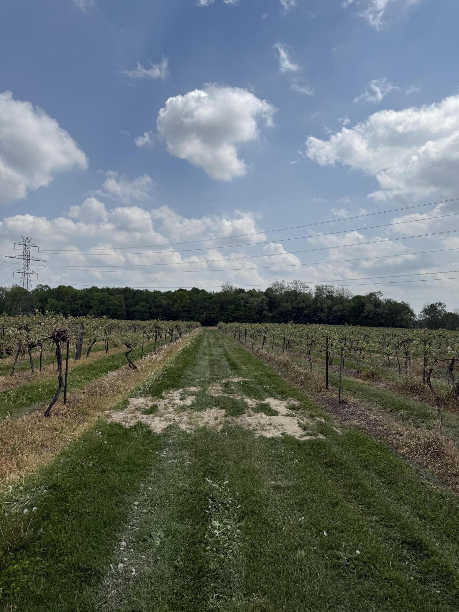 V/l Scottdale Road Berrien Springs MI 49103