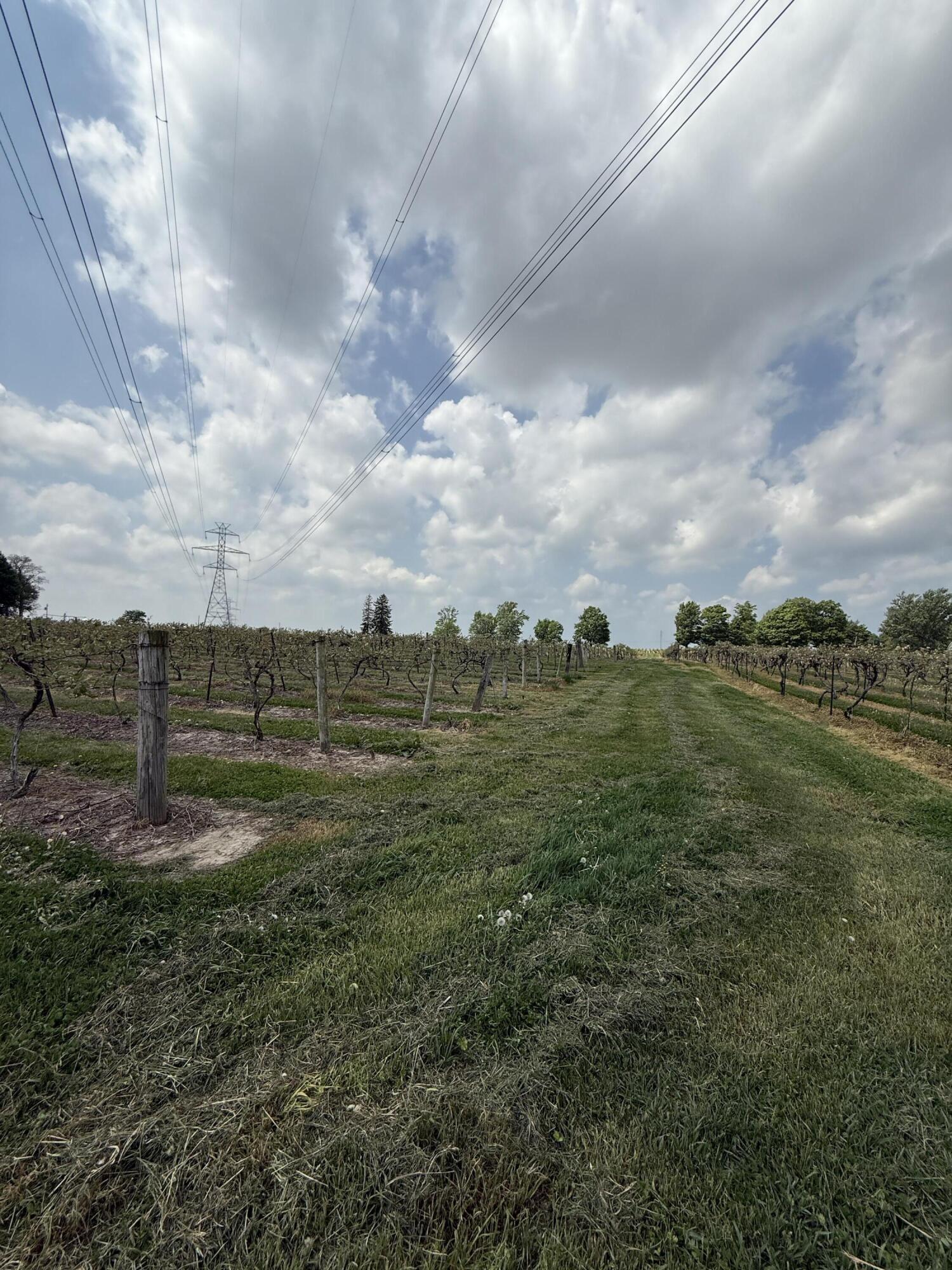 V/l Scottdale Road Berrien Springs MI 49103