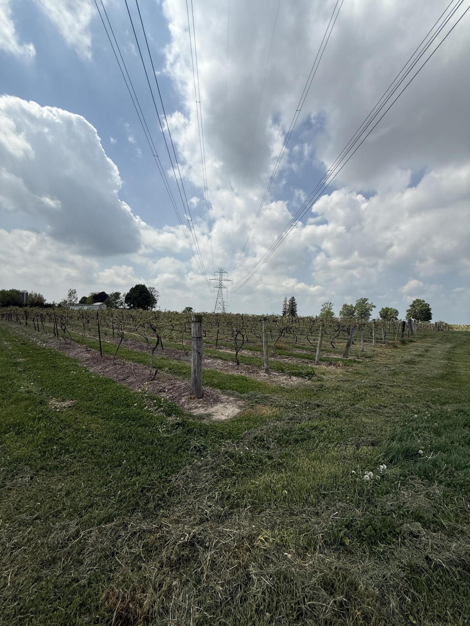V/l Scottdale Road Berrien Springs MI 49103