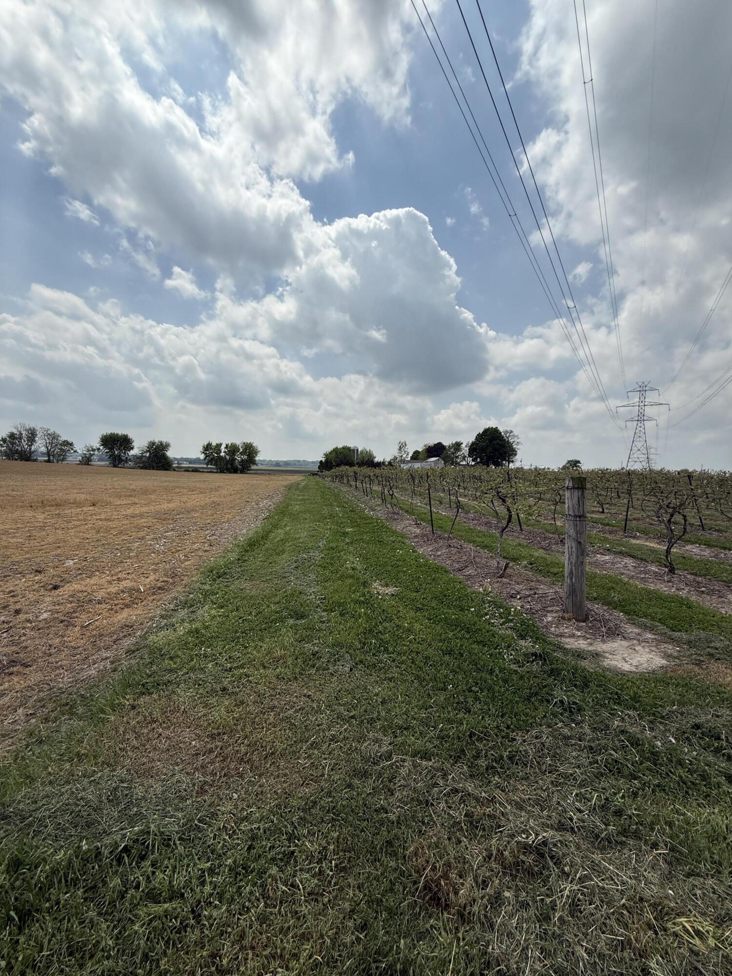 V/l Scottdale Road Berrien Springs MI 49103