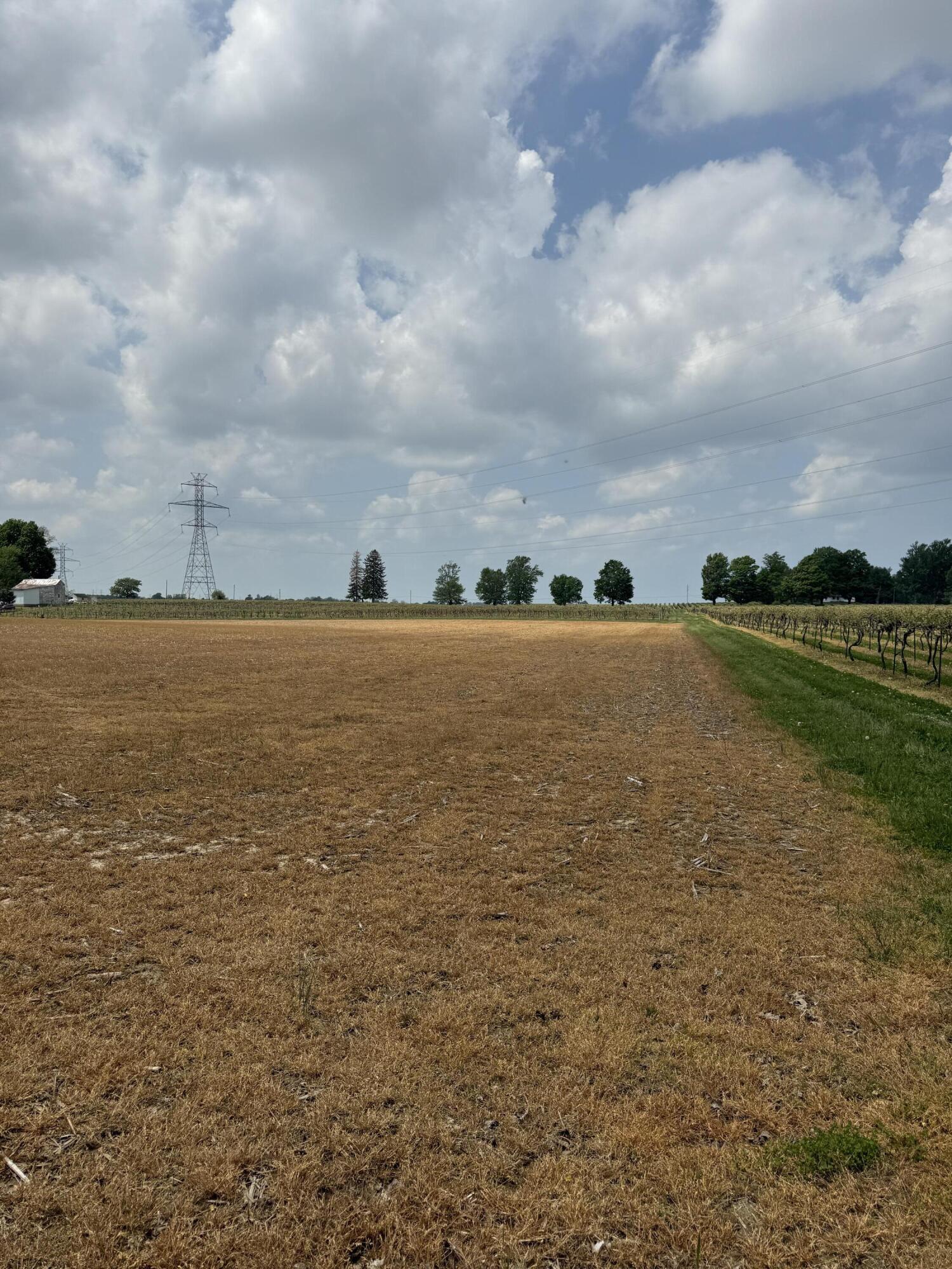 V/l Scottdale Road Berrien Springs MI 49103