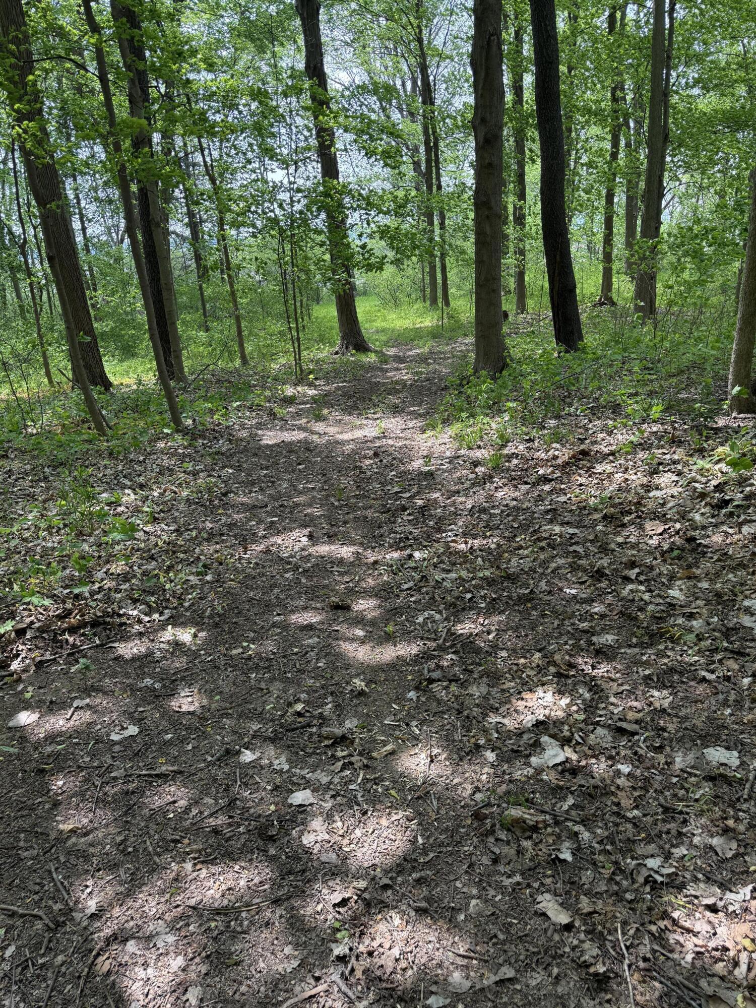 V/l Scottdale Road Berrien Springs MI 49103