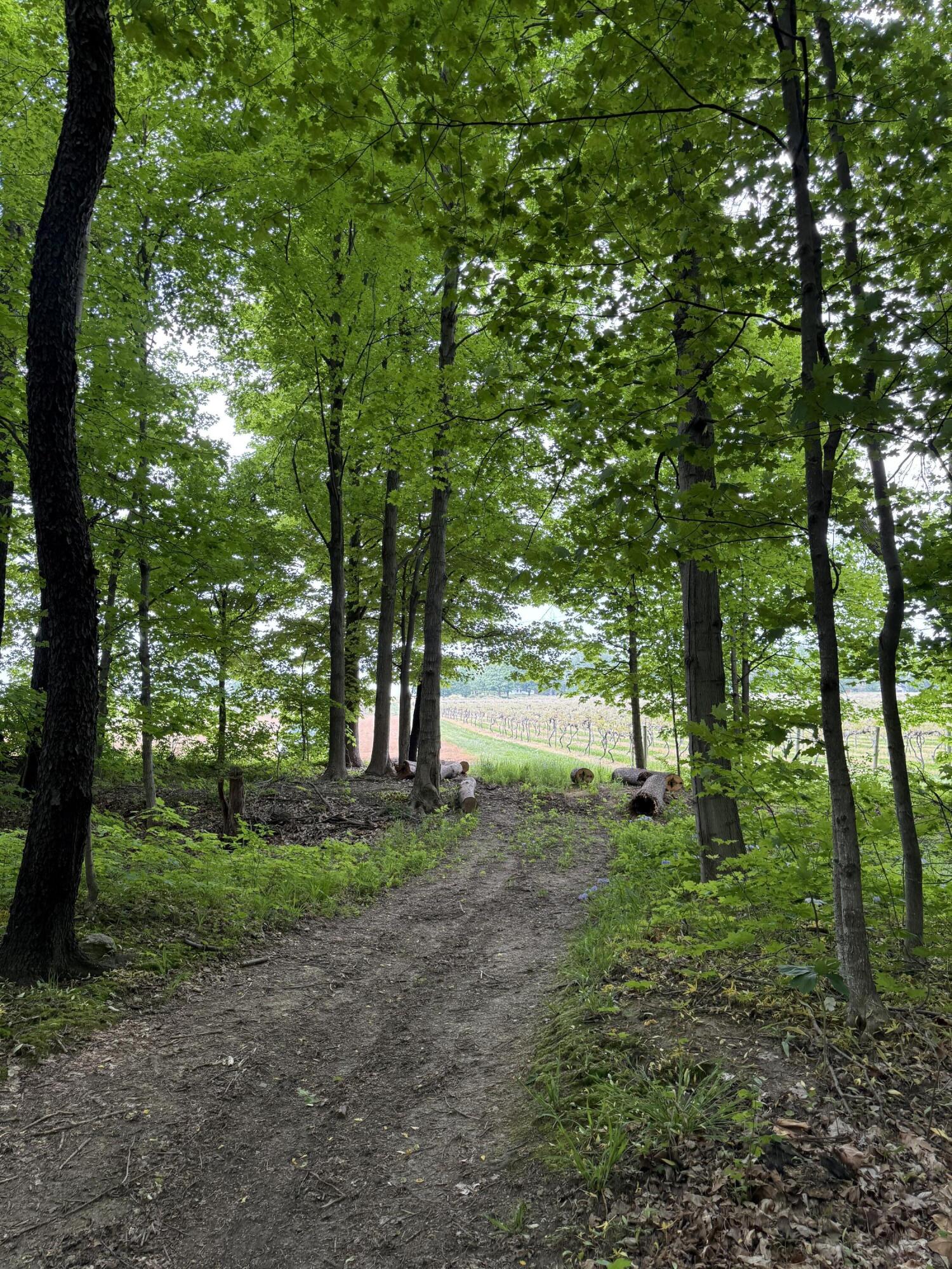 V/l Scottdale Road Berrien Springs MI 49103