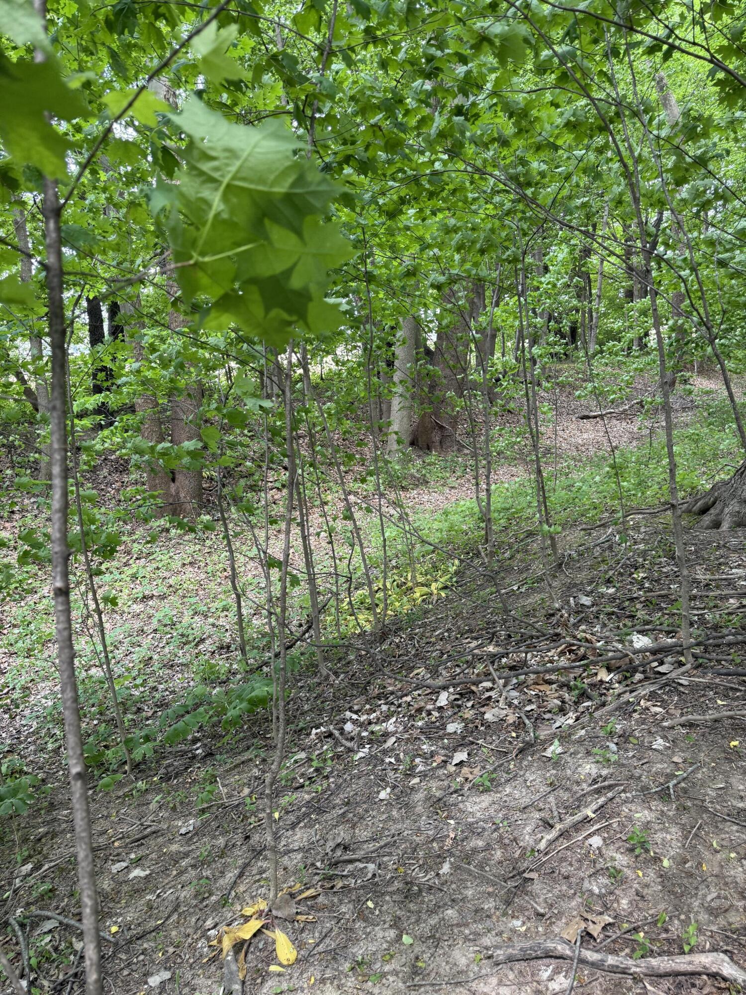 V/l Scottdale Road Berrien Springs MI 49103
