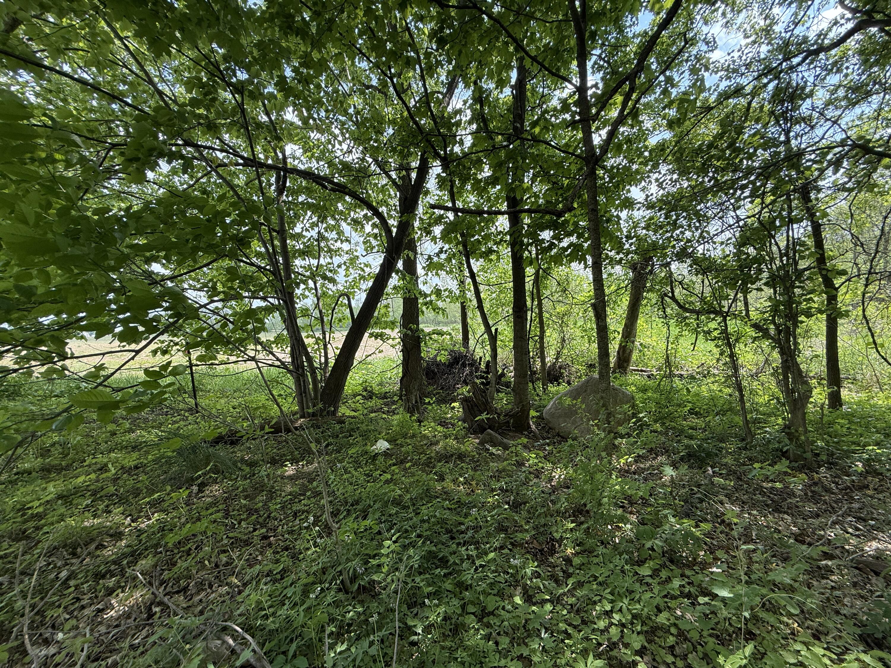 V/l Scottdale Road Berrien Springs MI 49103