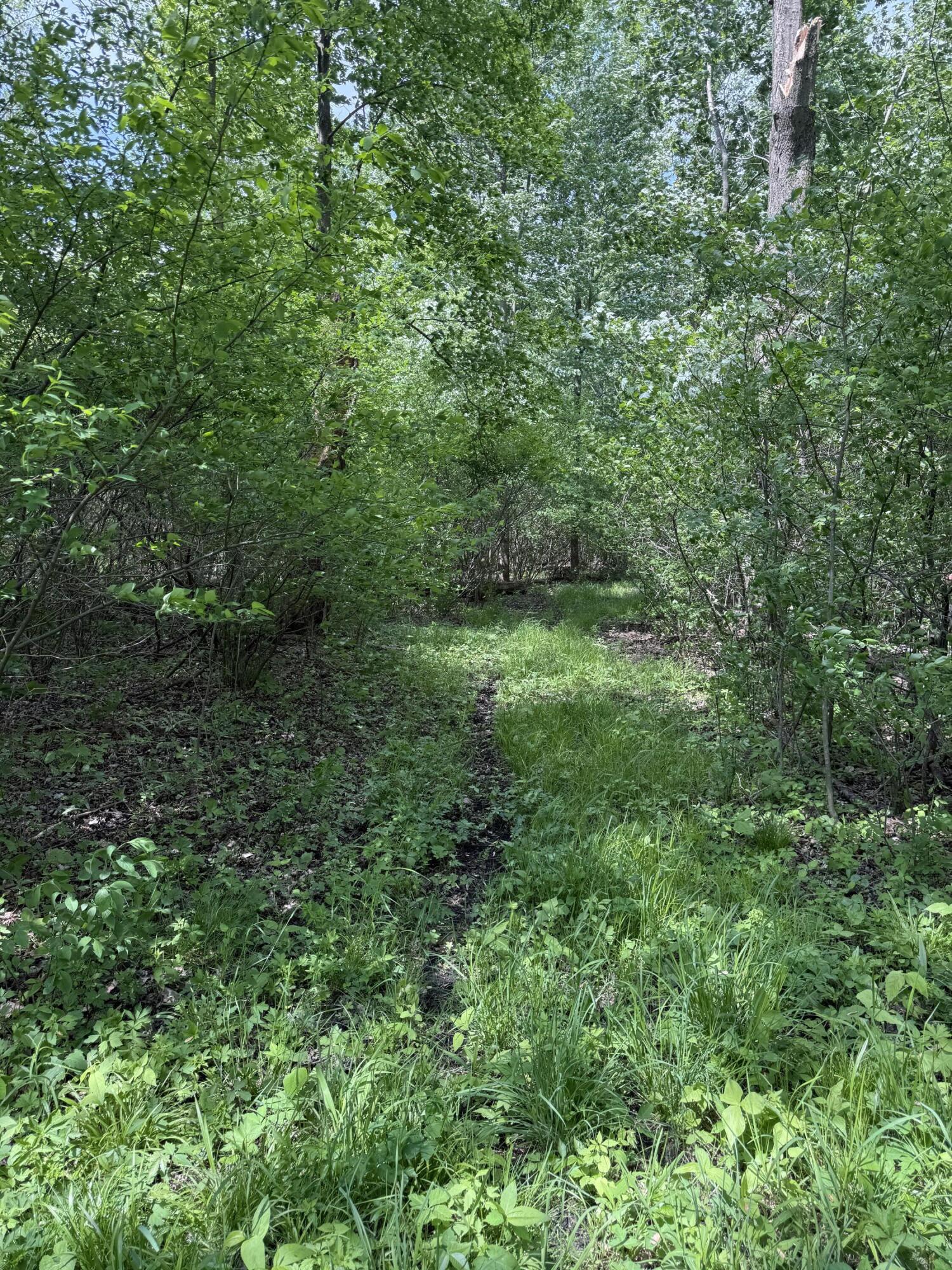 V/l Scottdale Road Berrien Springs MI 49103