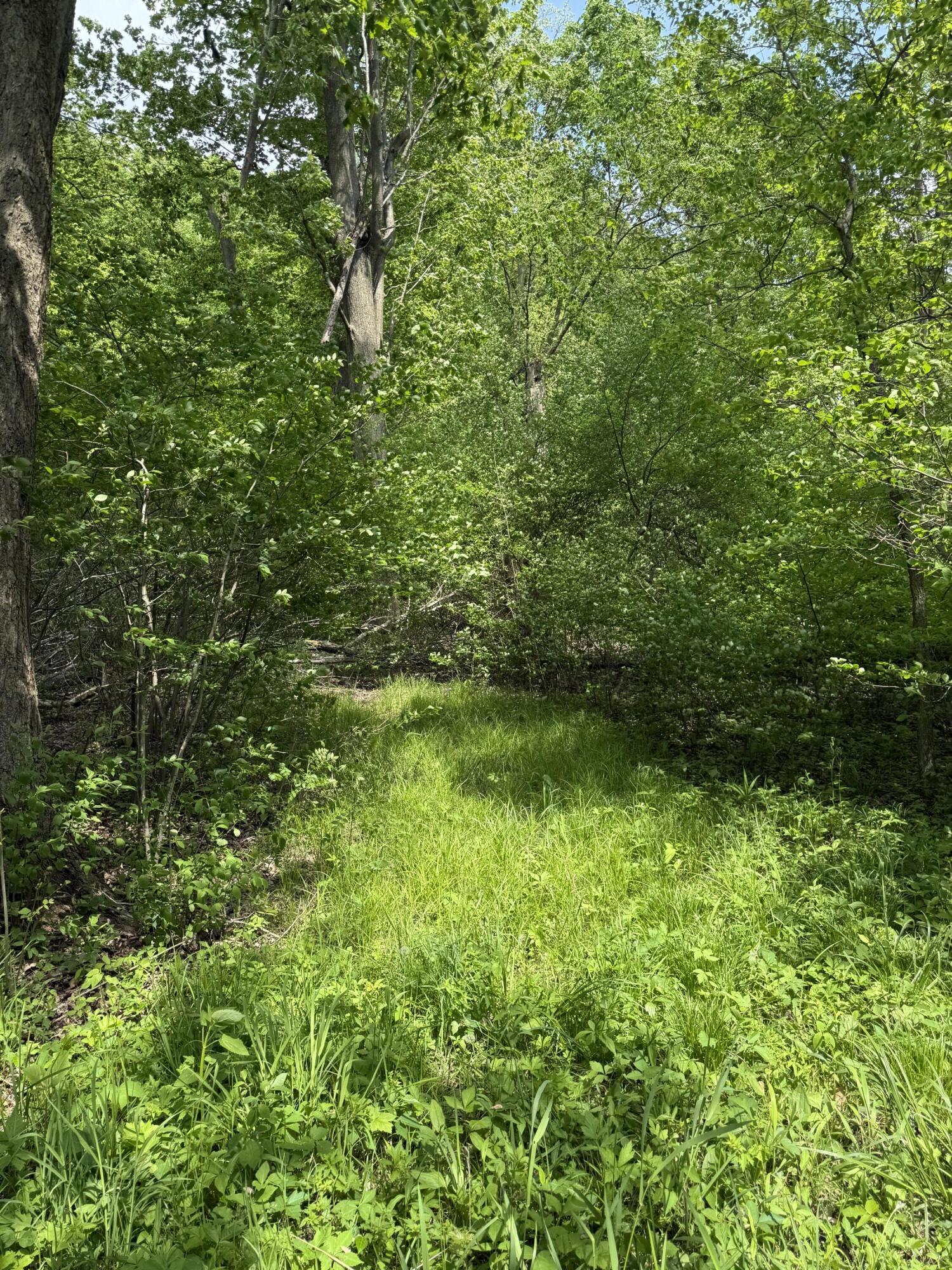 V/l Scottdale Road Berrien Springs MI 49103