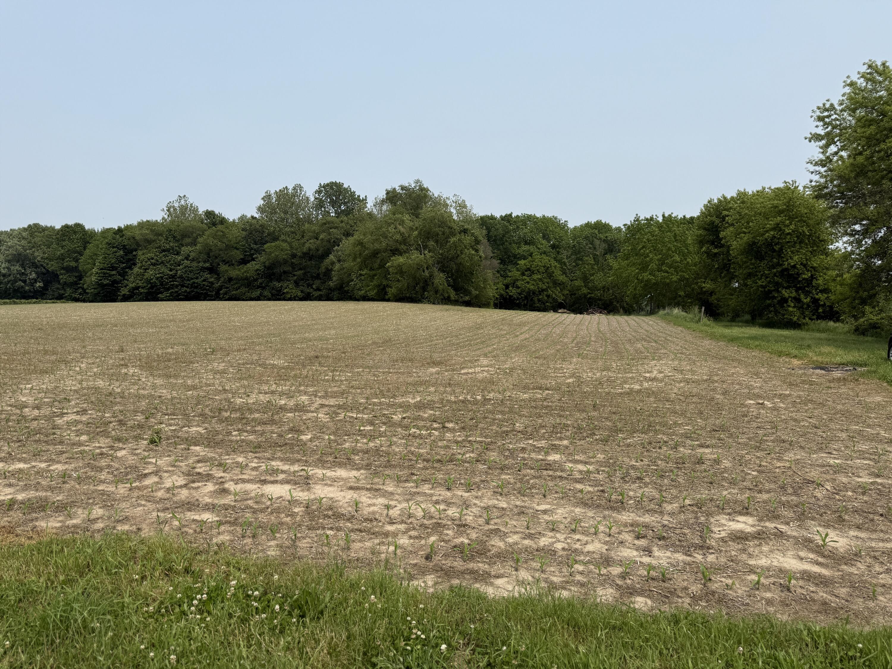 V/l Scottdale Road Berrien Springs MI 49103