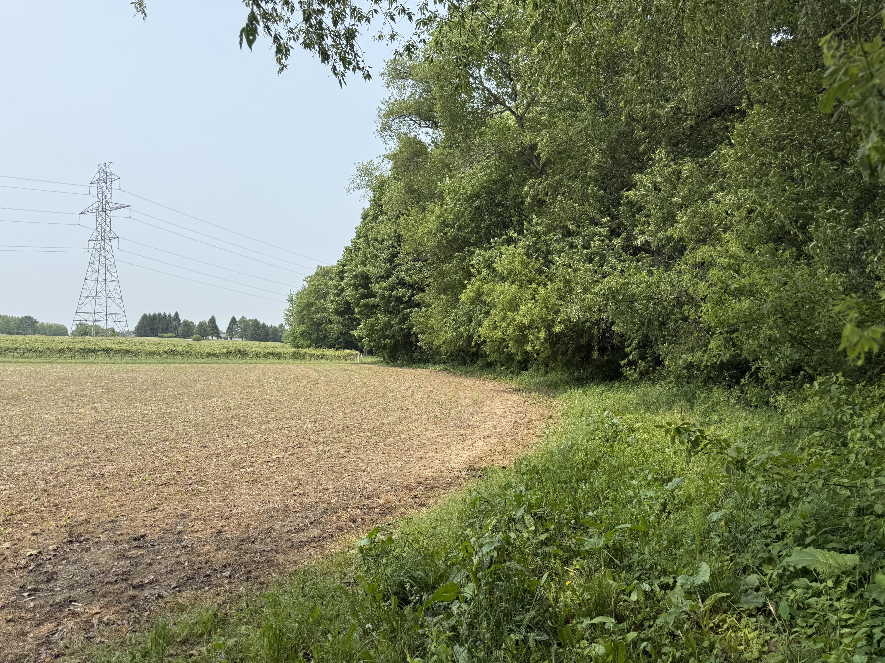V/l Scottdale Road Berrien Springs MI 49103