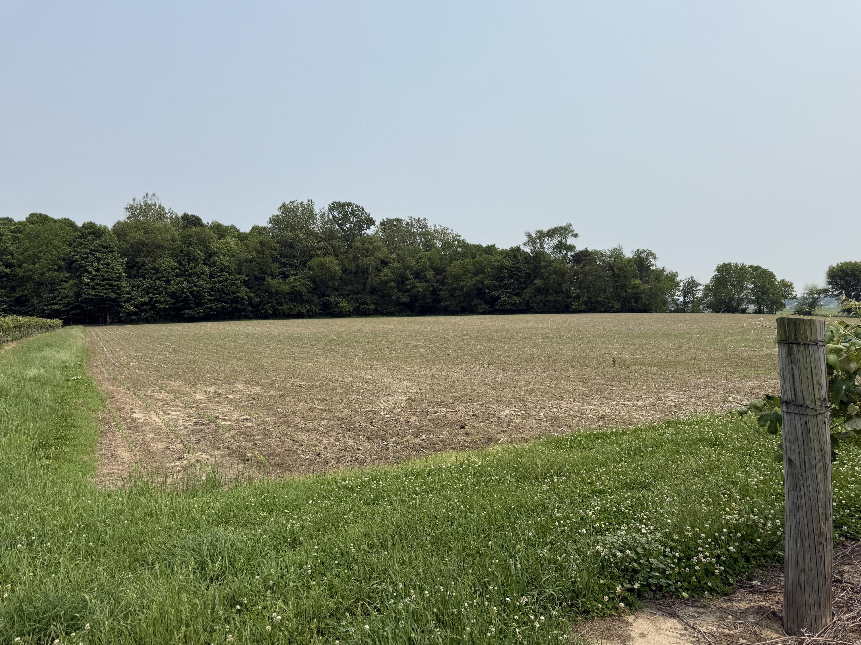 V/l Scottdale Road Berrien Springs MI 49103